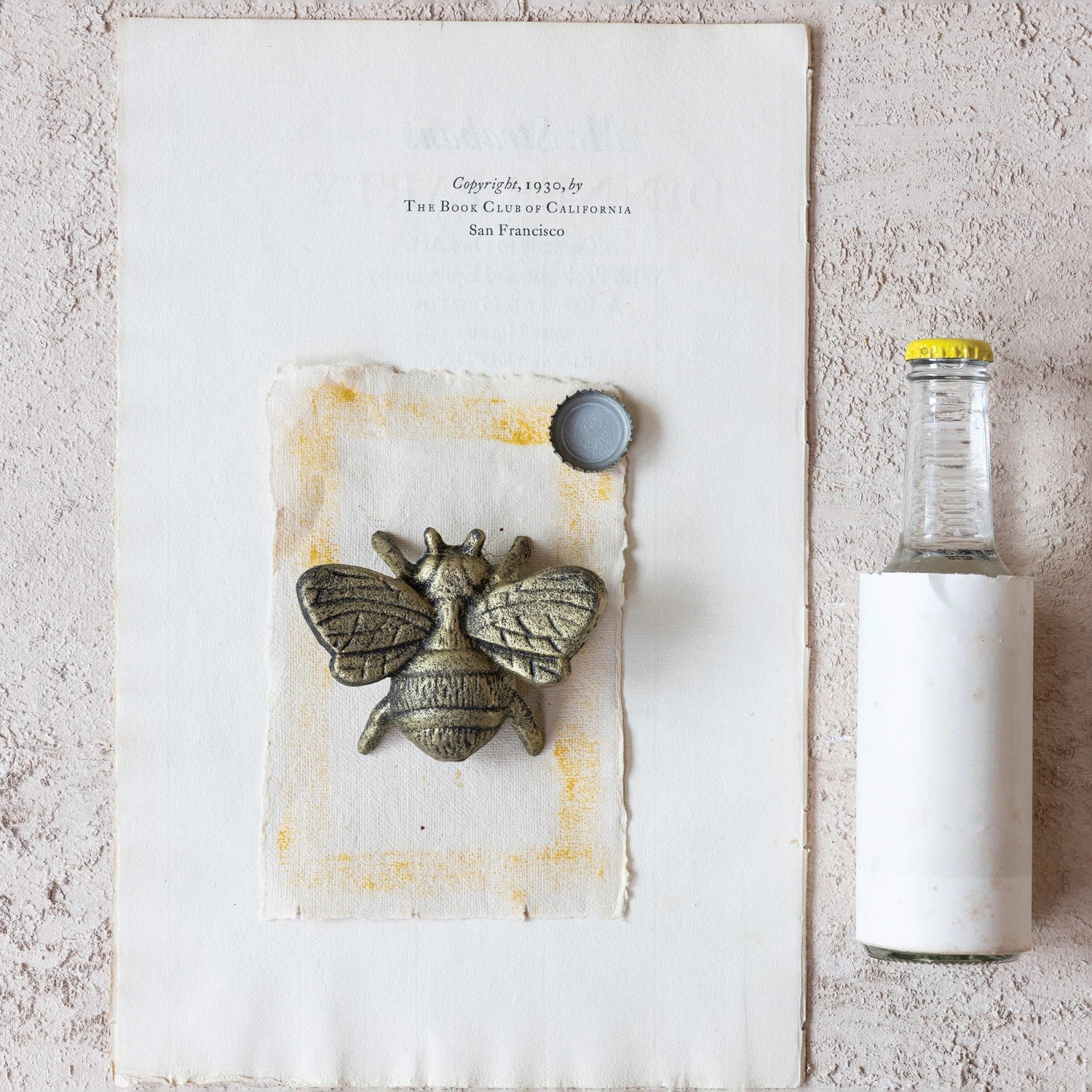 Bee Bottle Opener - Box Turtle