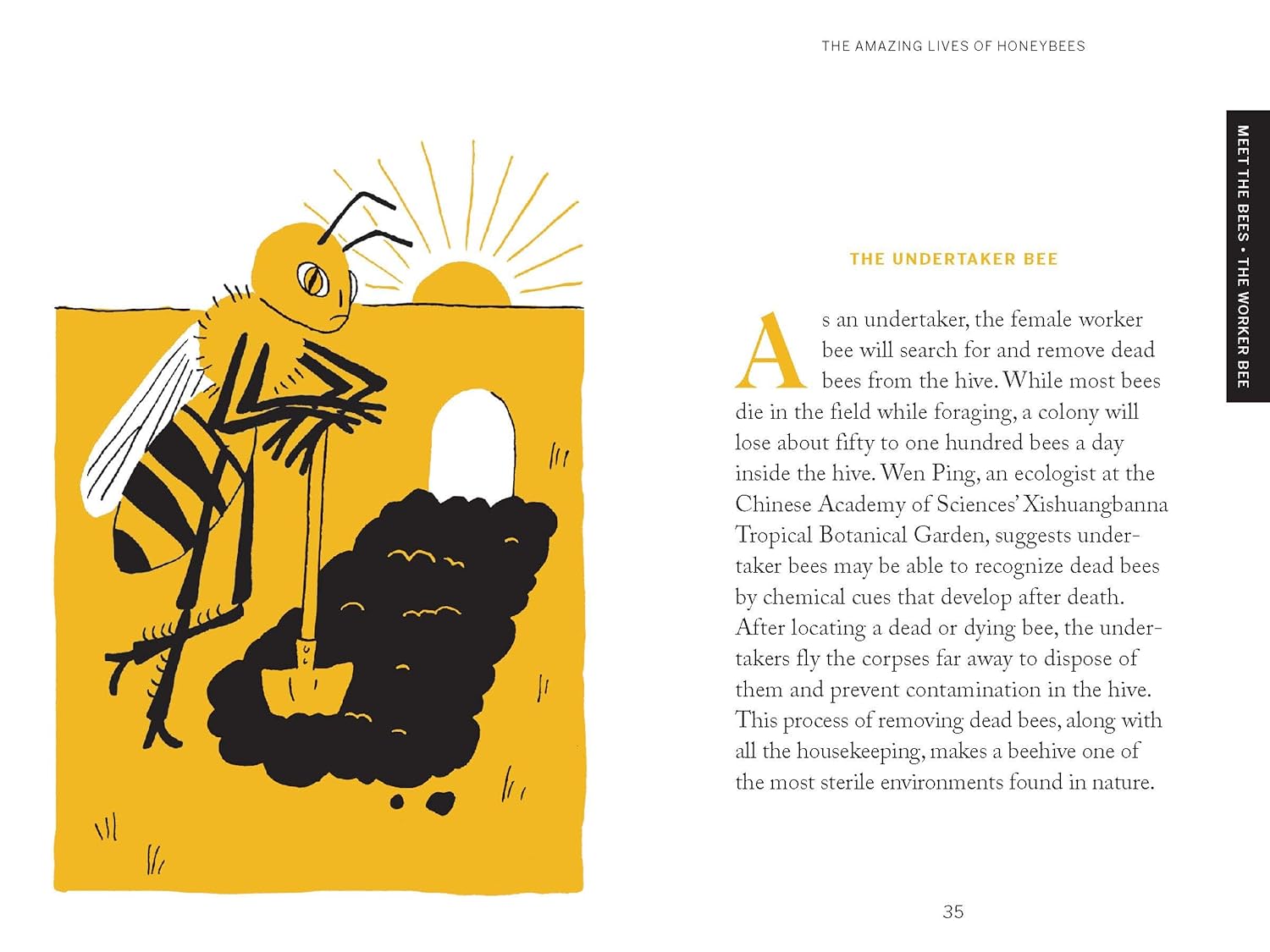 Beekeeping: Explore the Marvelous World of Honeybees - Box Turtle