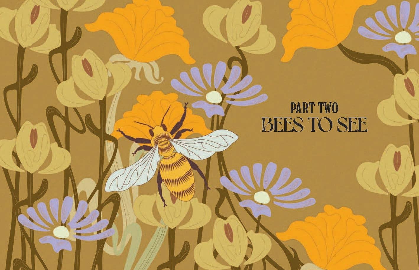 Bees Book - Box Turtle