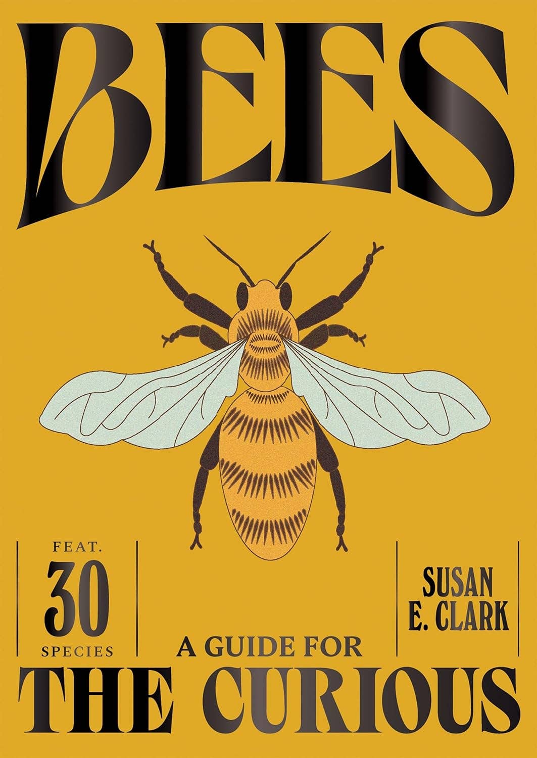 Bees Book - Box Turtle