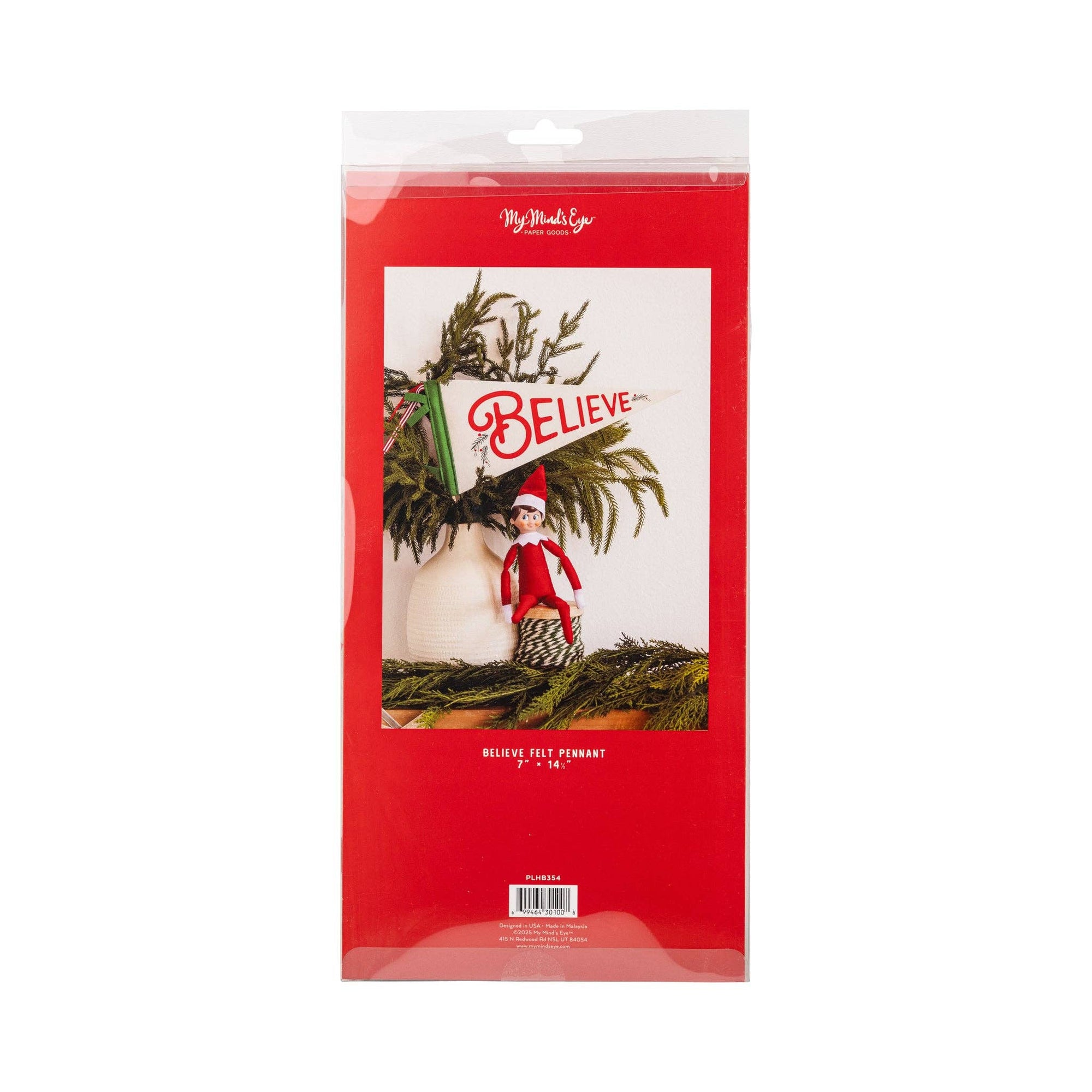 Believe Felt Pennant Banner - Box Turtle