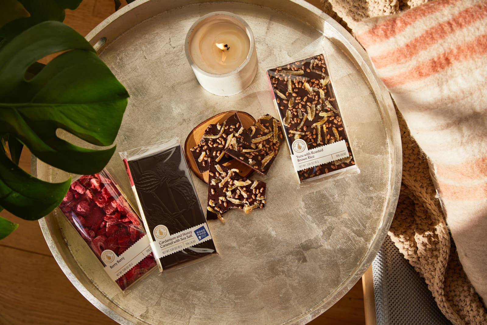 Berry Berry Chocolate - Box Turtle