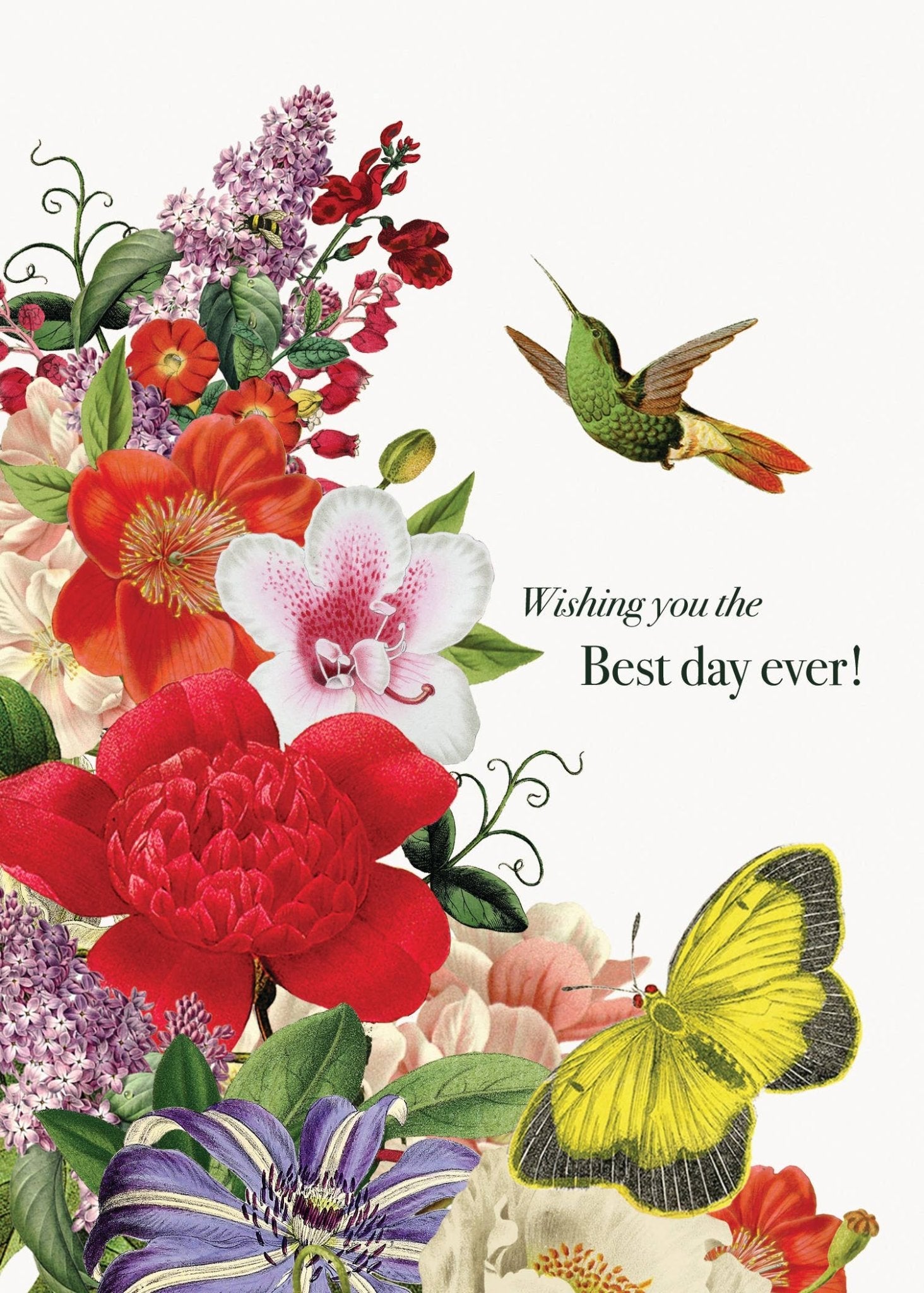 Best Day Ever Hummingbird & Butterfly Birthday Card - Box Turtle