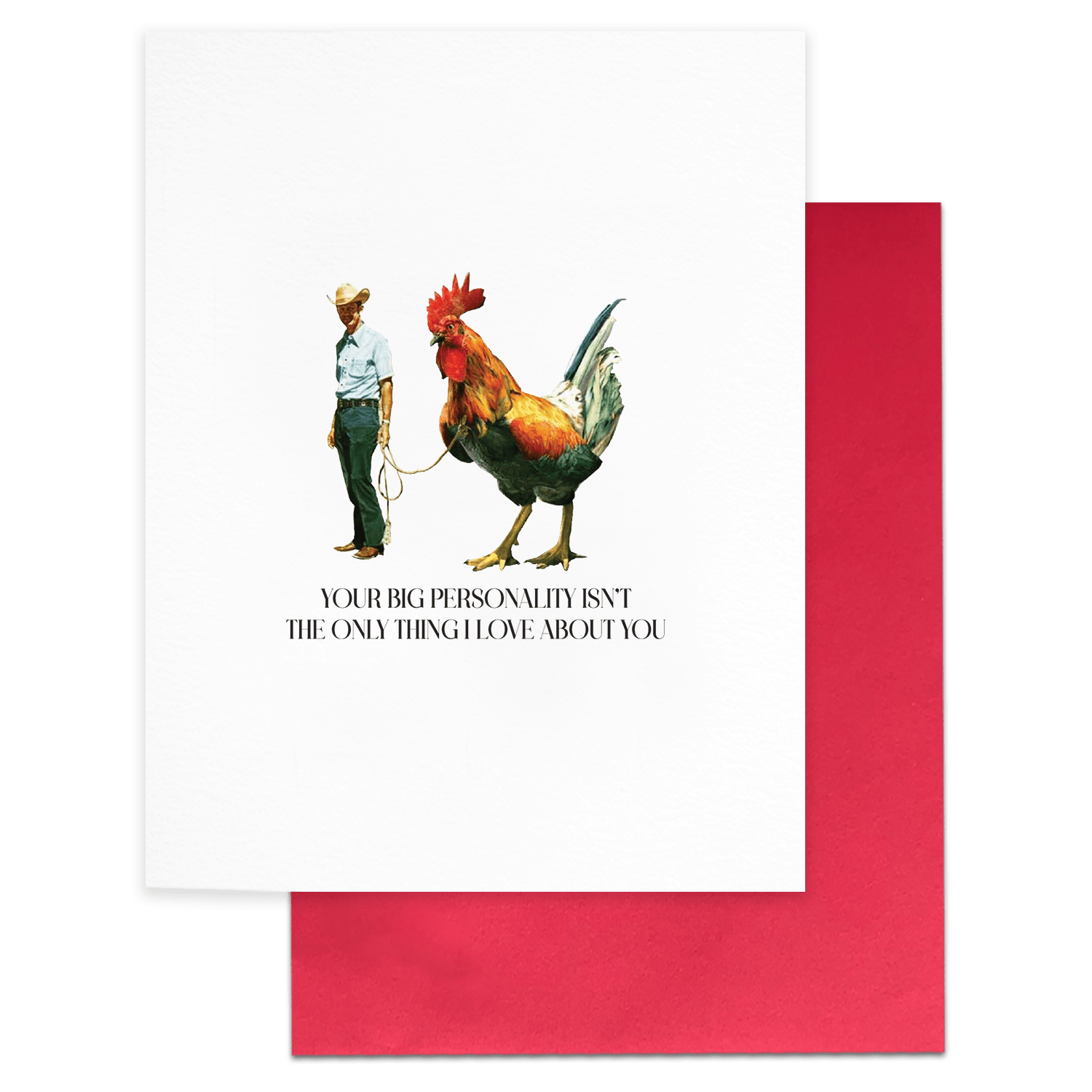 Big Personality, Funny Love Greeting Card - Box Turtle