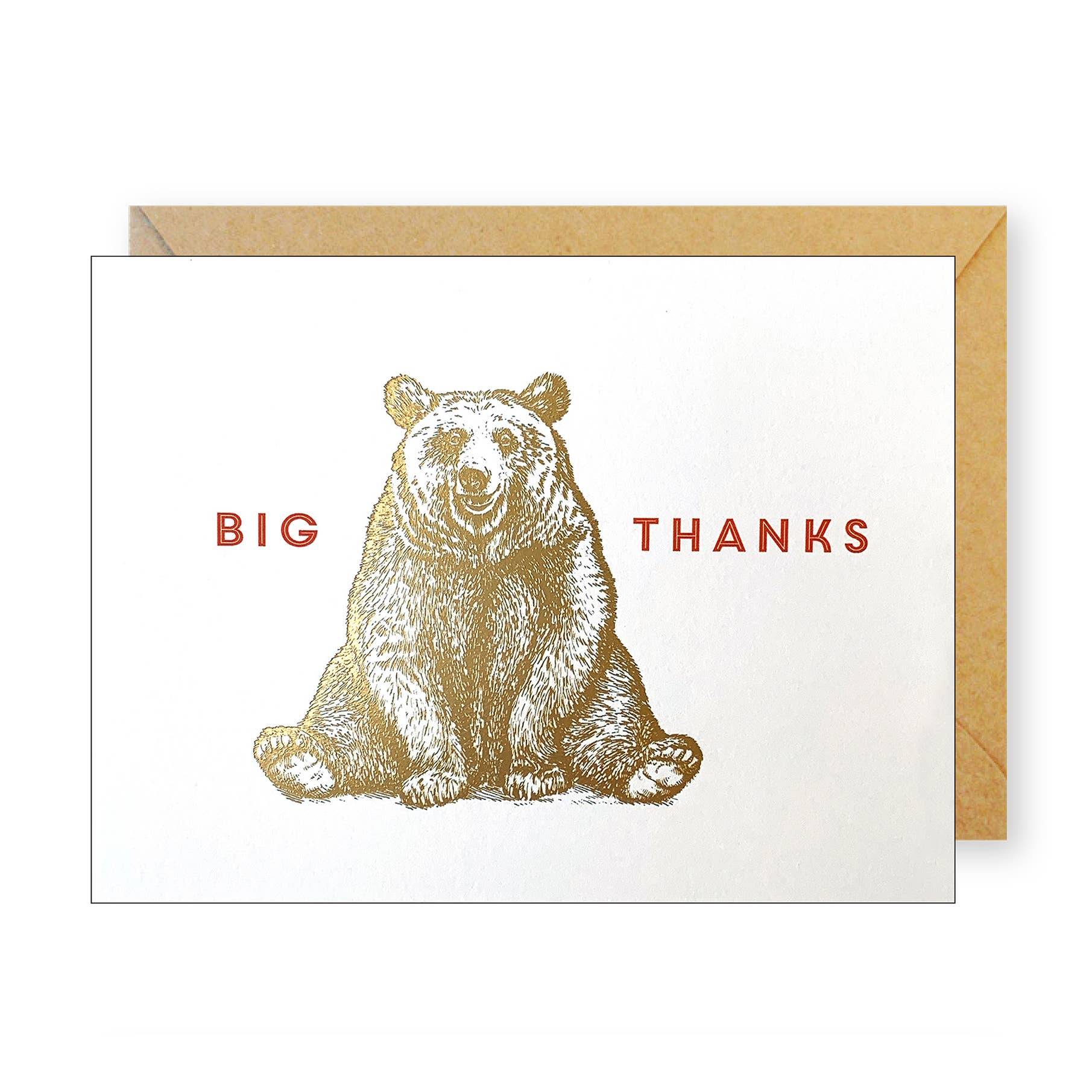 Big Thanks Gold Bear - Box Turtle