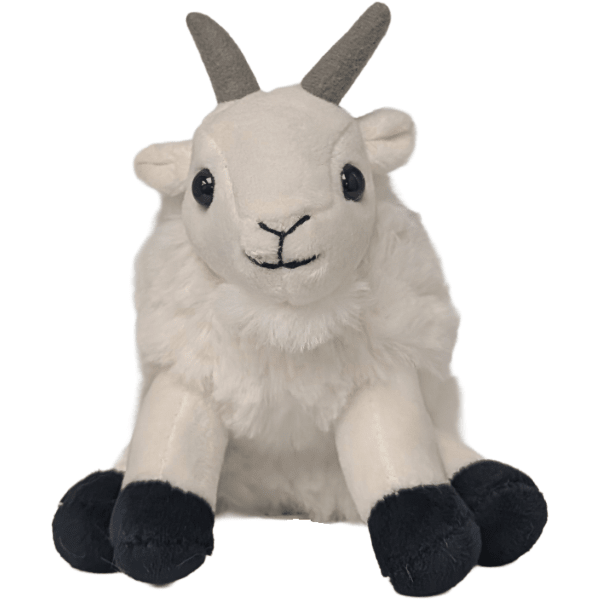 Billy the Canned Goat - Stuffed Animal - Box Turtle