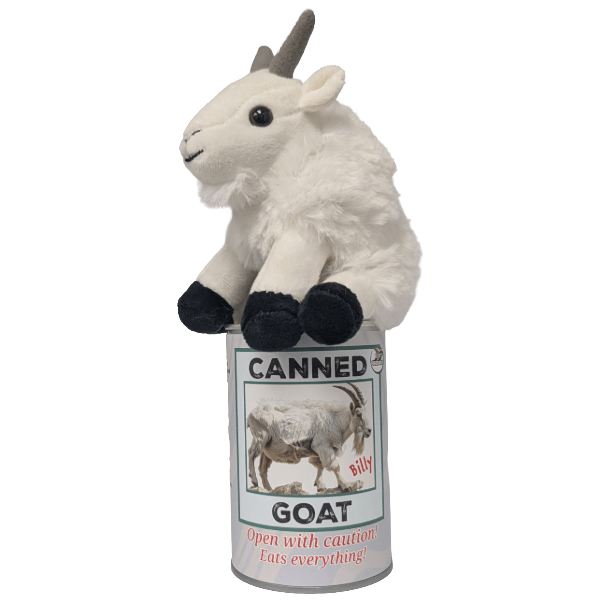 Billy the Canned Goat - Stuffed Animal - Box Turtle