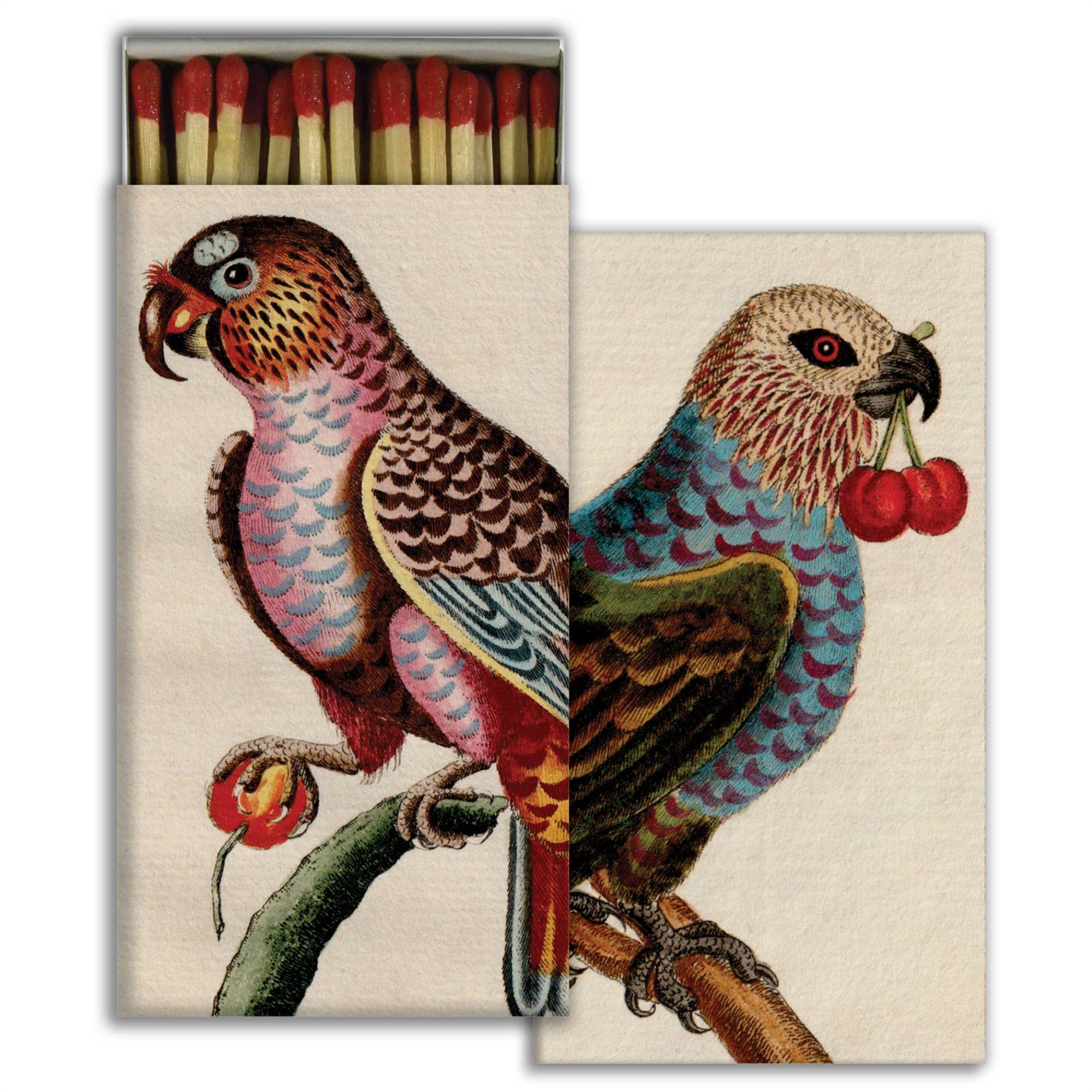 Birds with Cherries Matches - Box Turtle