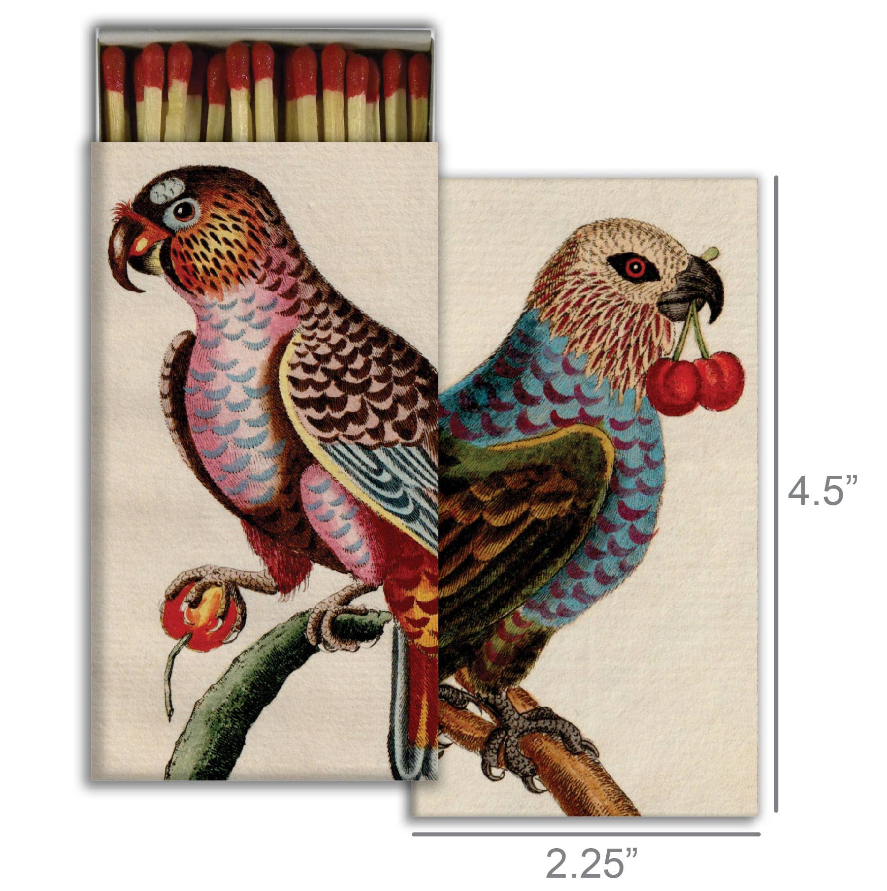 Birds with Cherries Matches - Box Turtle