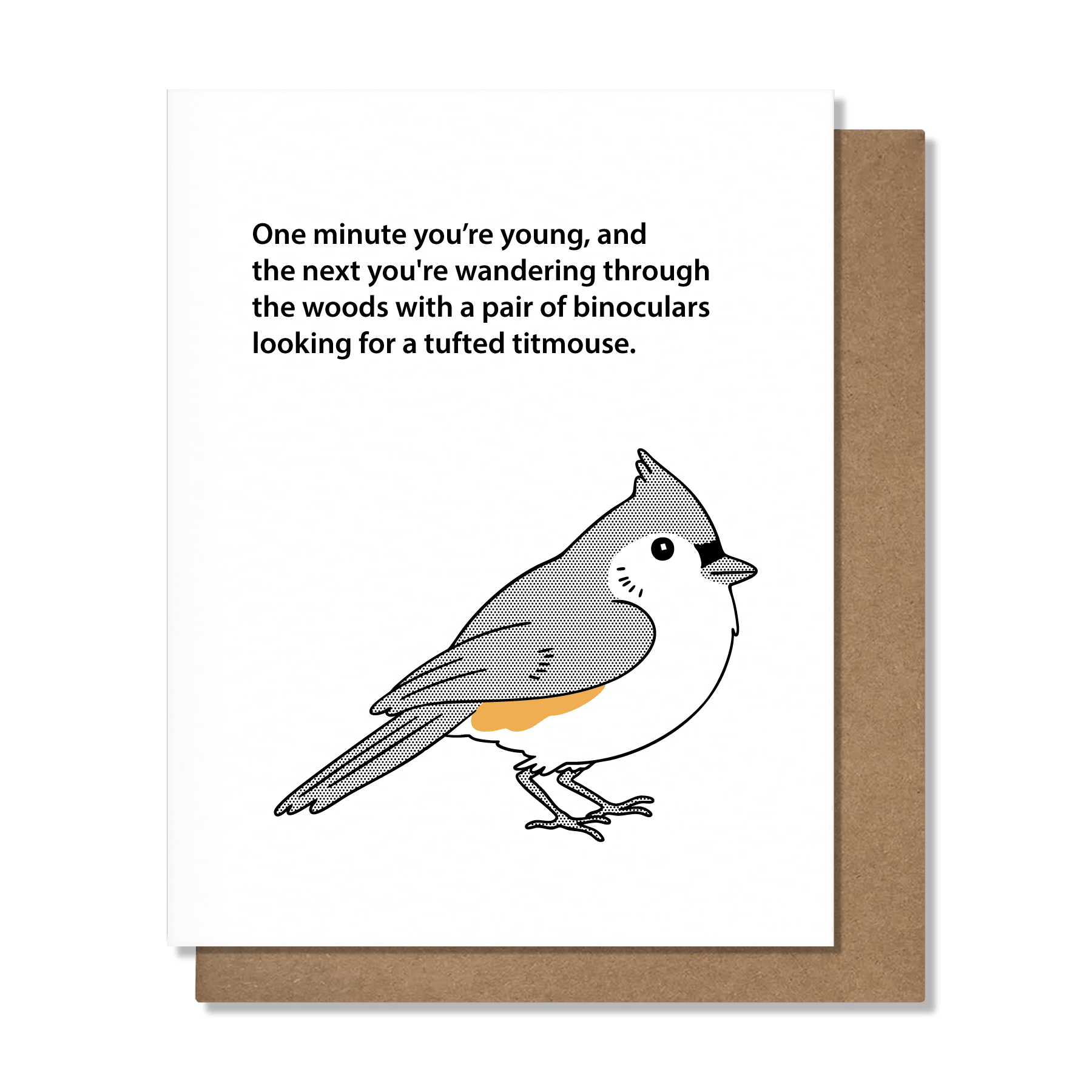 Birdwatching - Birthday Card - Box Turtle