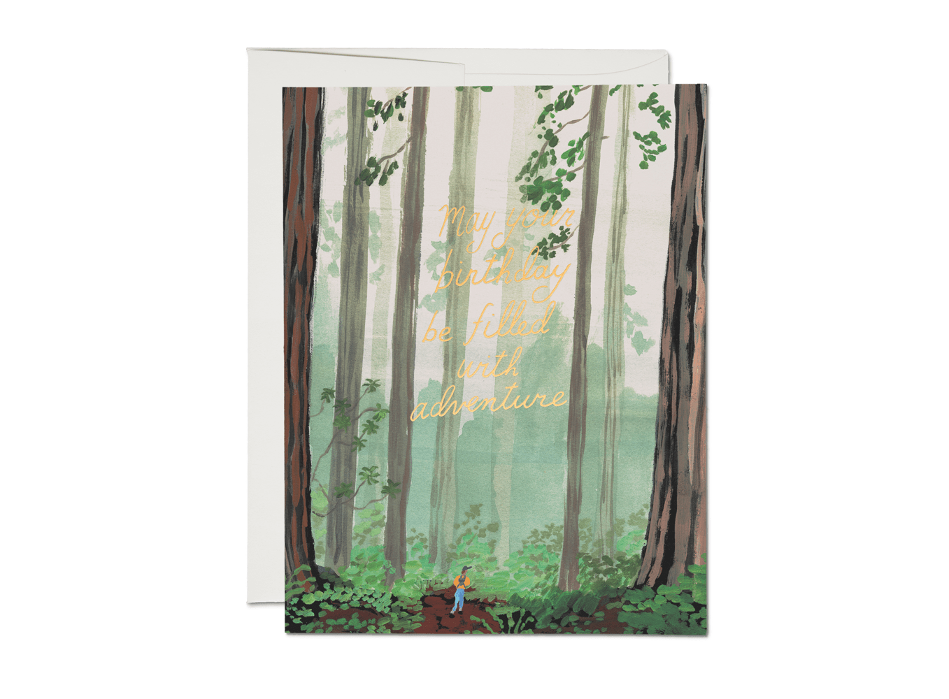 Birthday Adventure greeting card - Box Turtle