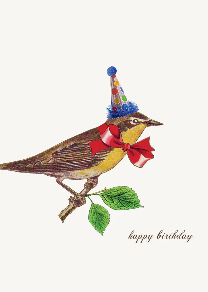 Birthday Bird Card - Box Turtle
