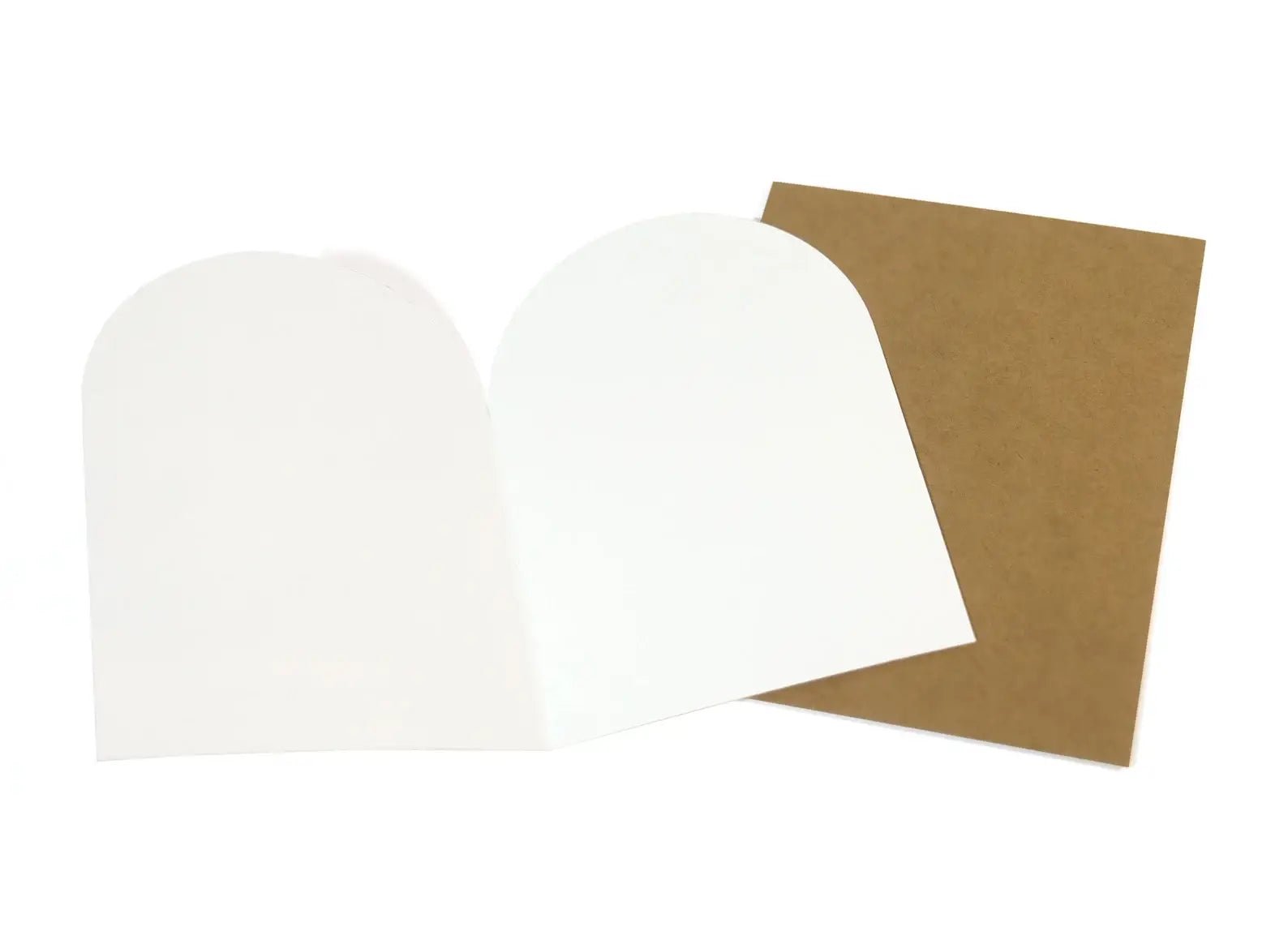 Birthday/Christmas Gifts Card - Box Turtle