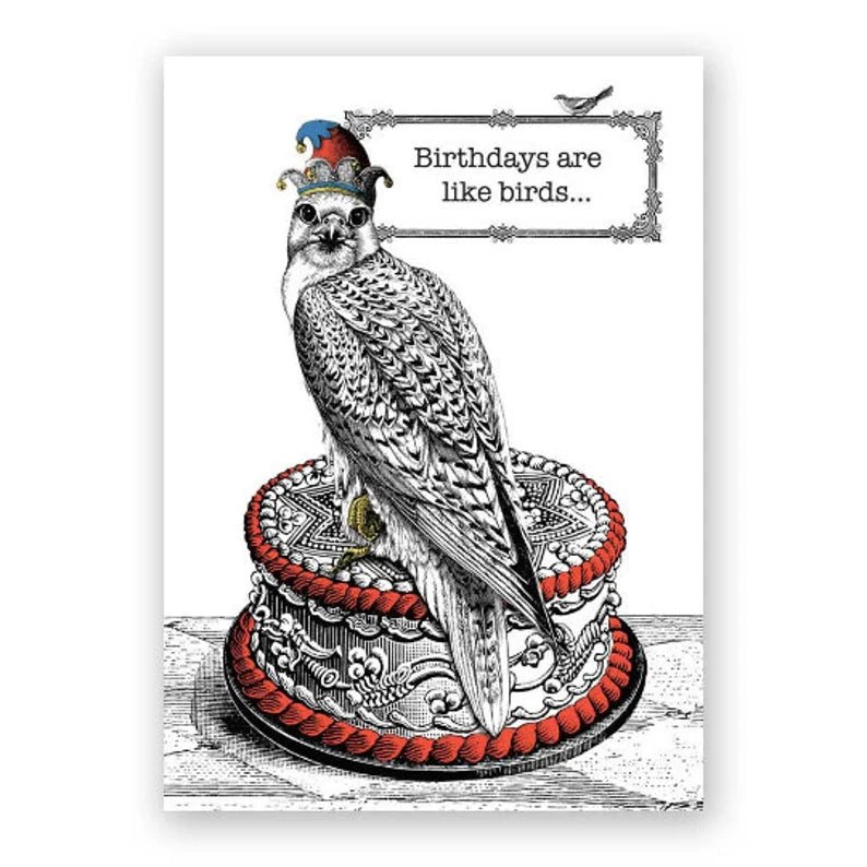 Birthdays Are Like Birds Card - Box Turtle