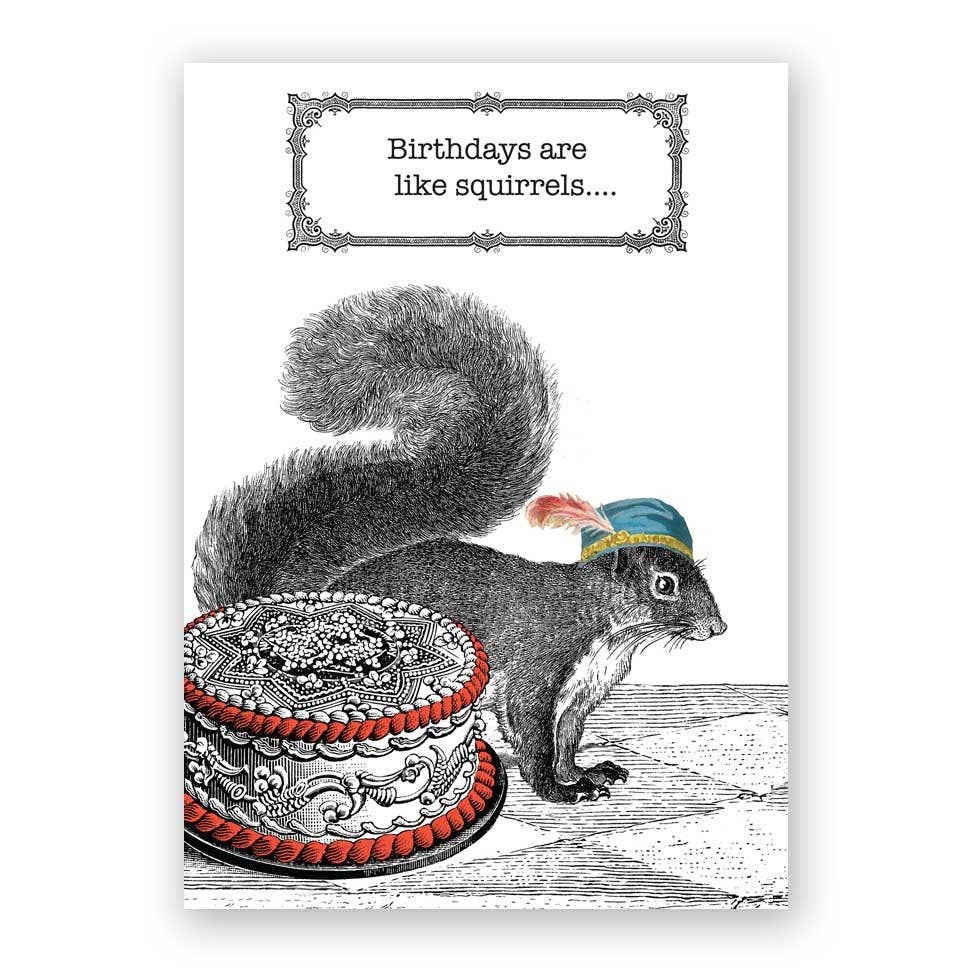 Birthdays Are Like Squirrels Card - Box Turtle
