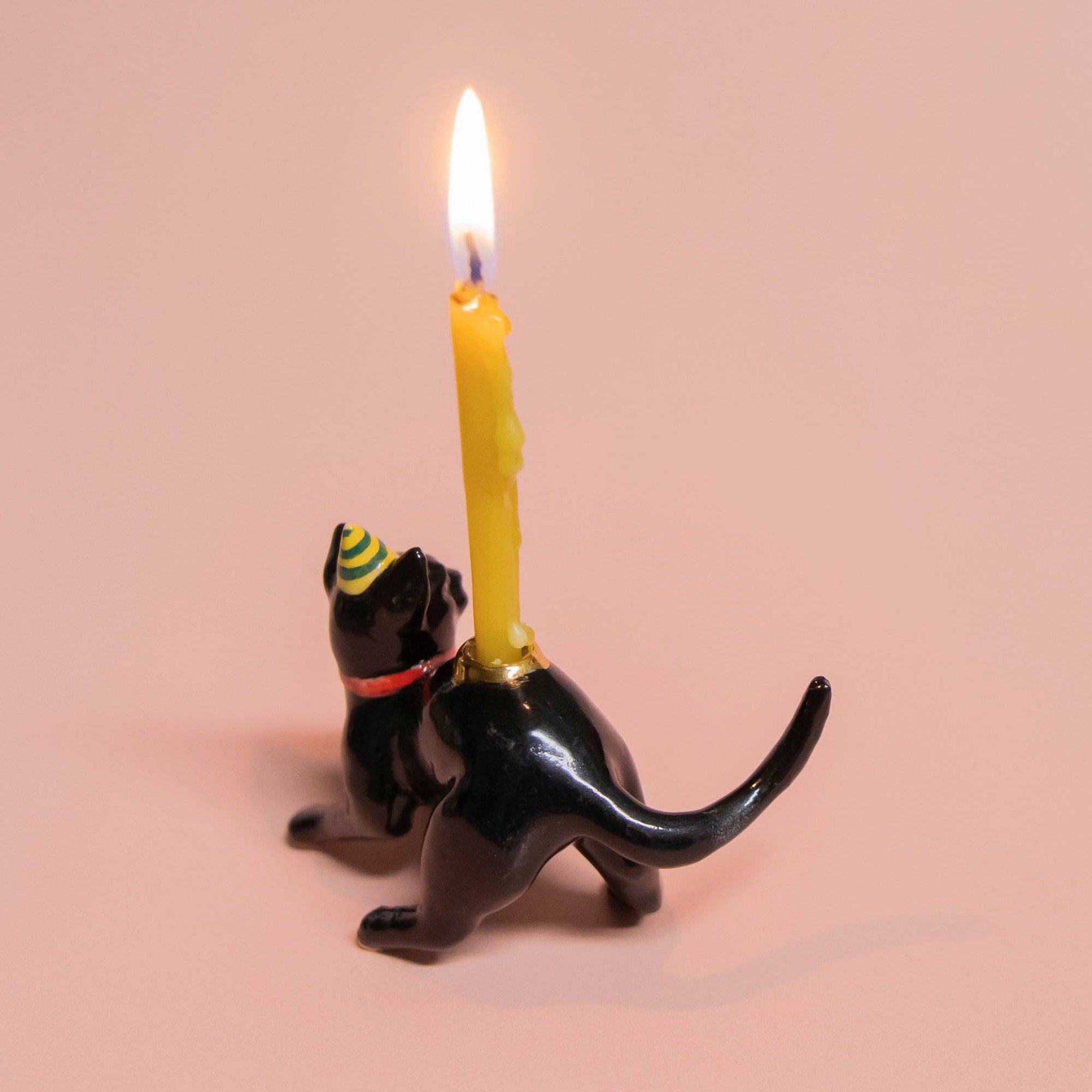Black Cat Cake Topper - Box Turtle