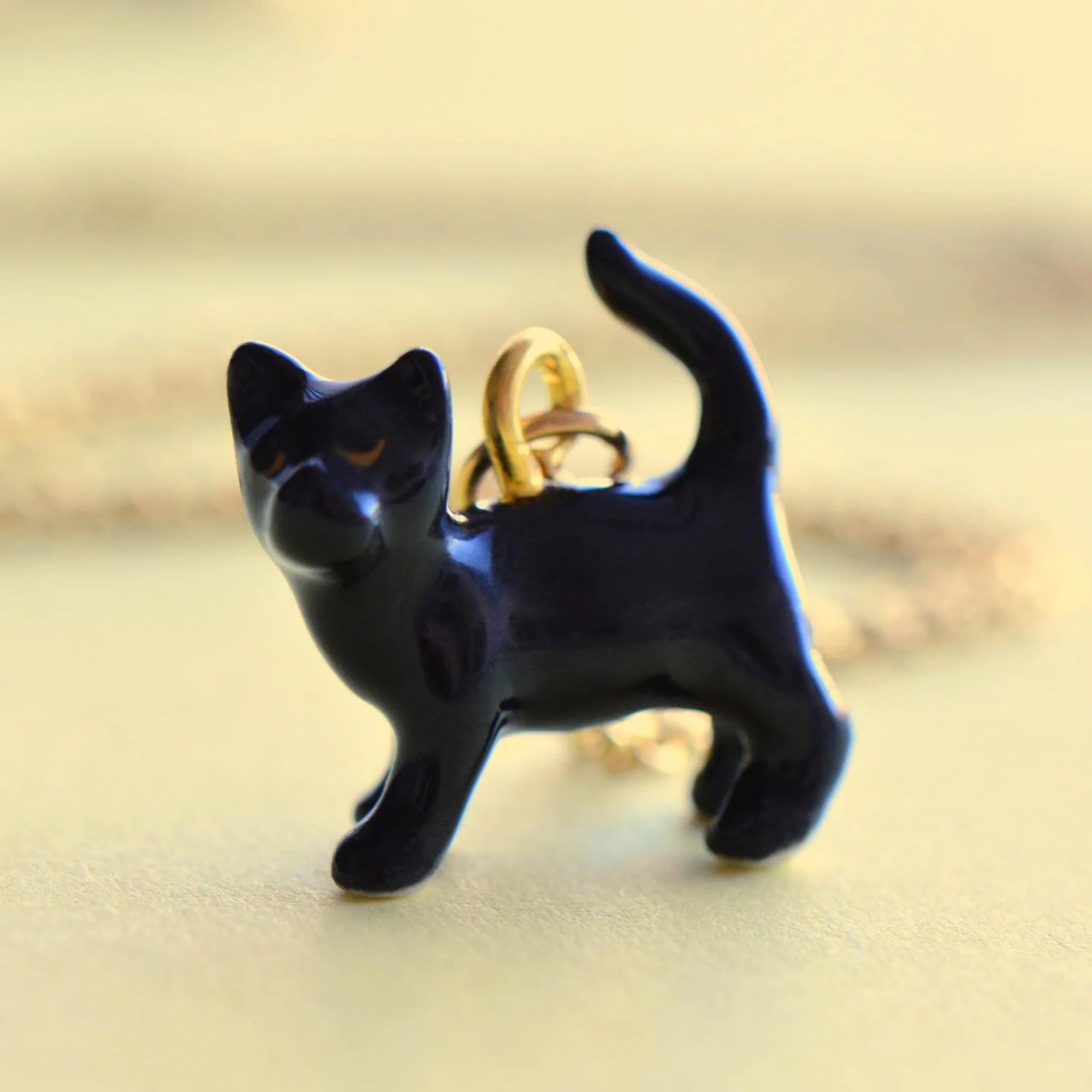 Black Cat Necklace - Box Turtle