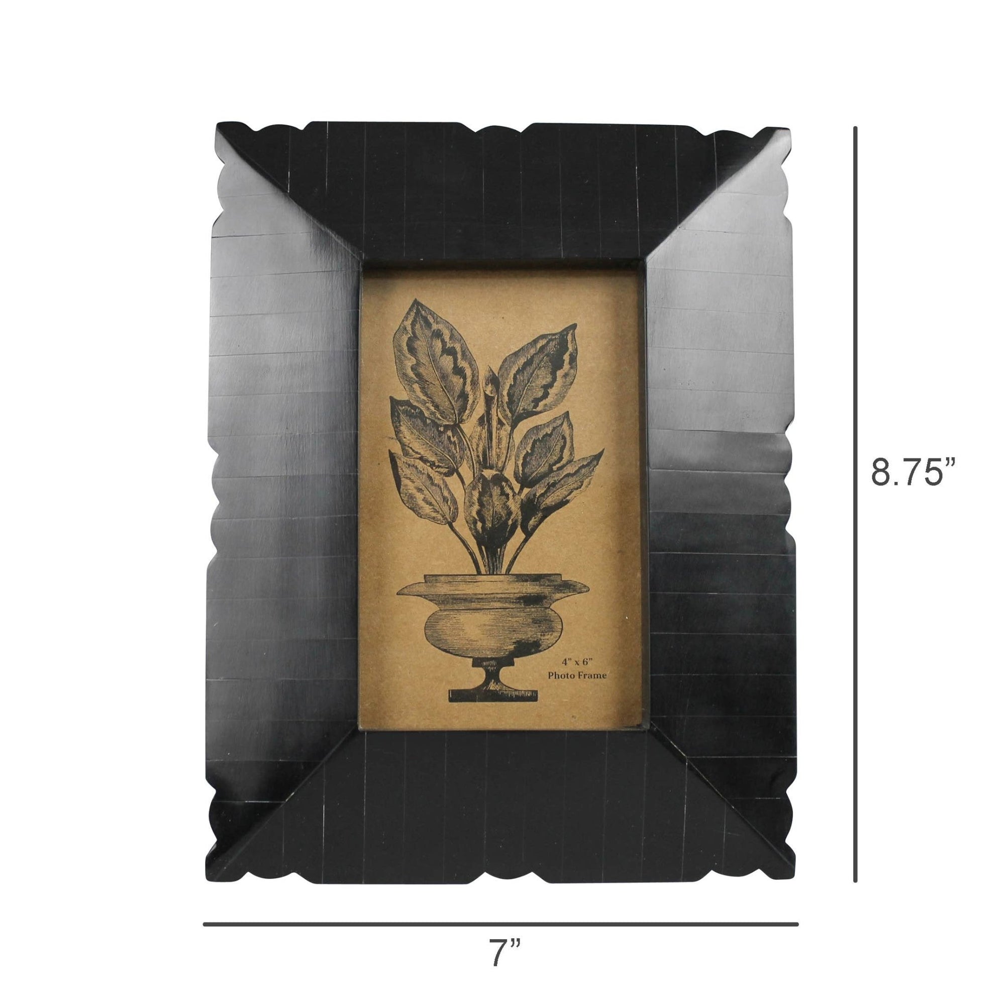 Black Resin Frame - Scalloped Edge - Box Turtle