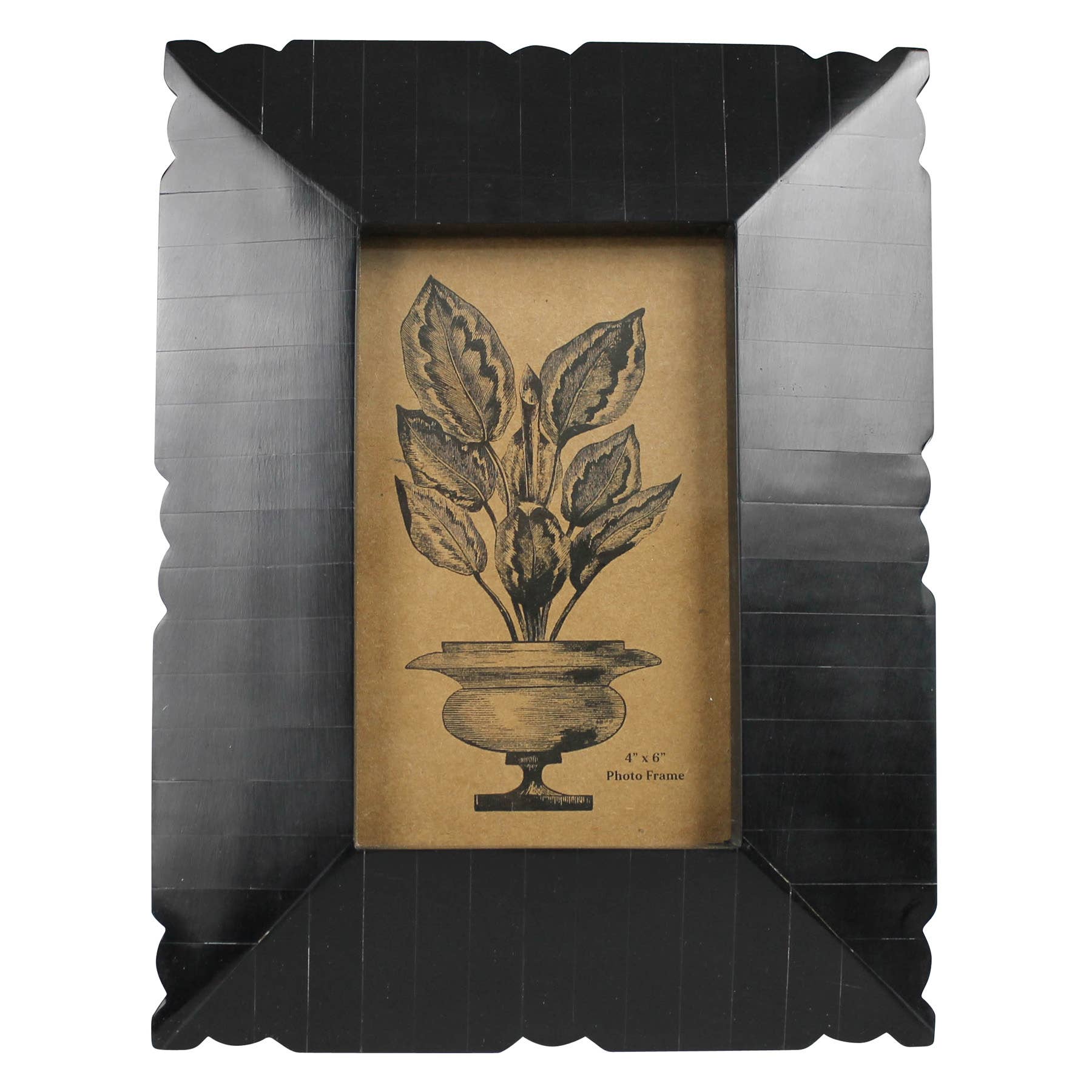 Black Resin Frame - Scalloped Edge - Box Turtle