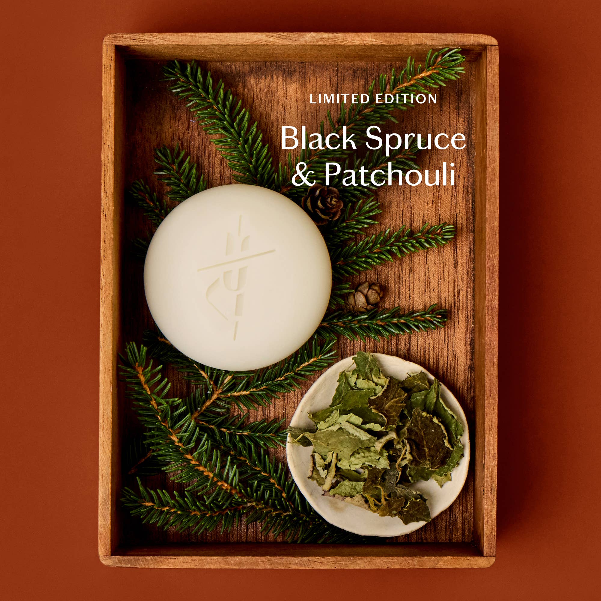 Black Spruce & Patchouli | Moisturizing Lotion Bar - Box Turtle