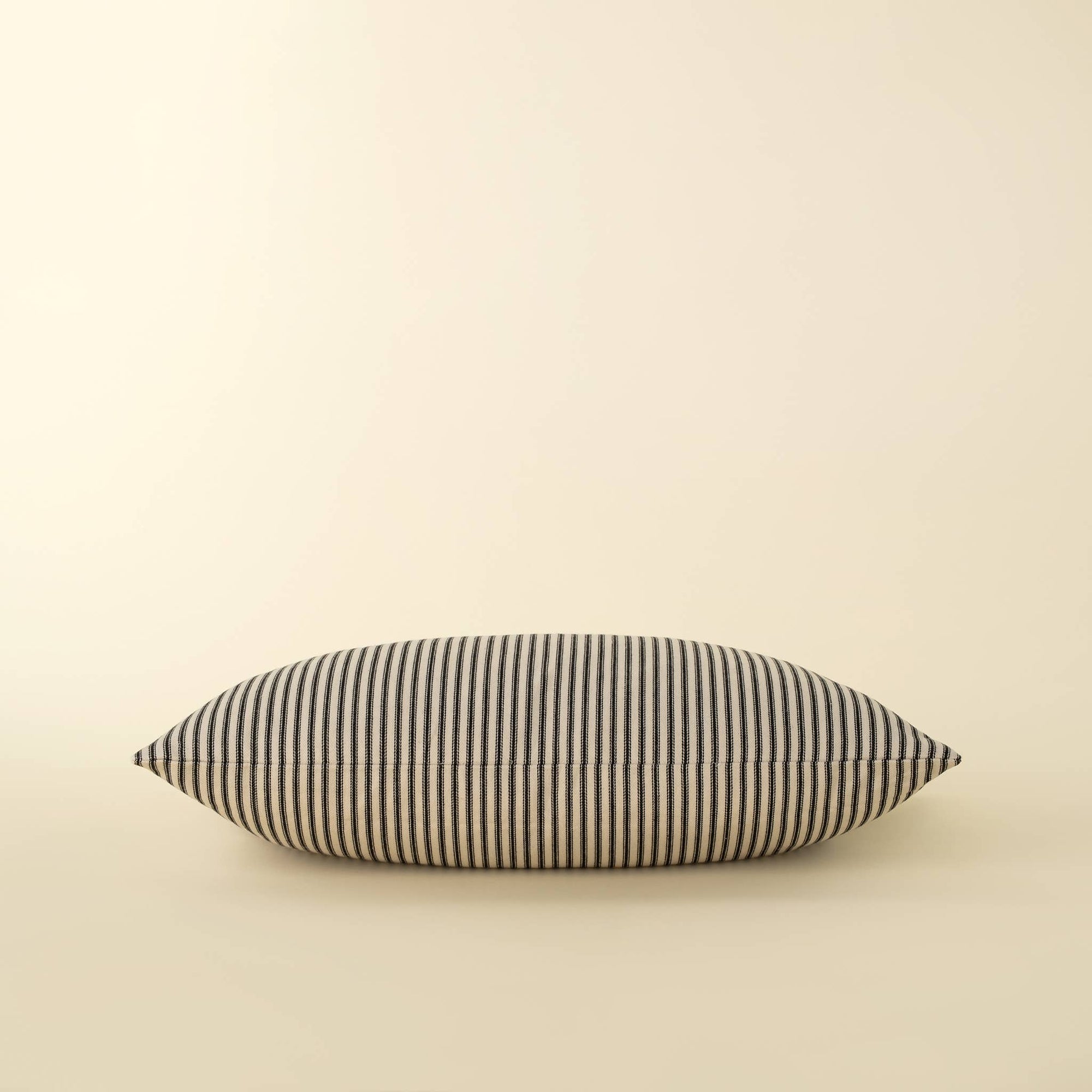 Black Ticking Pillow - Box Turtle