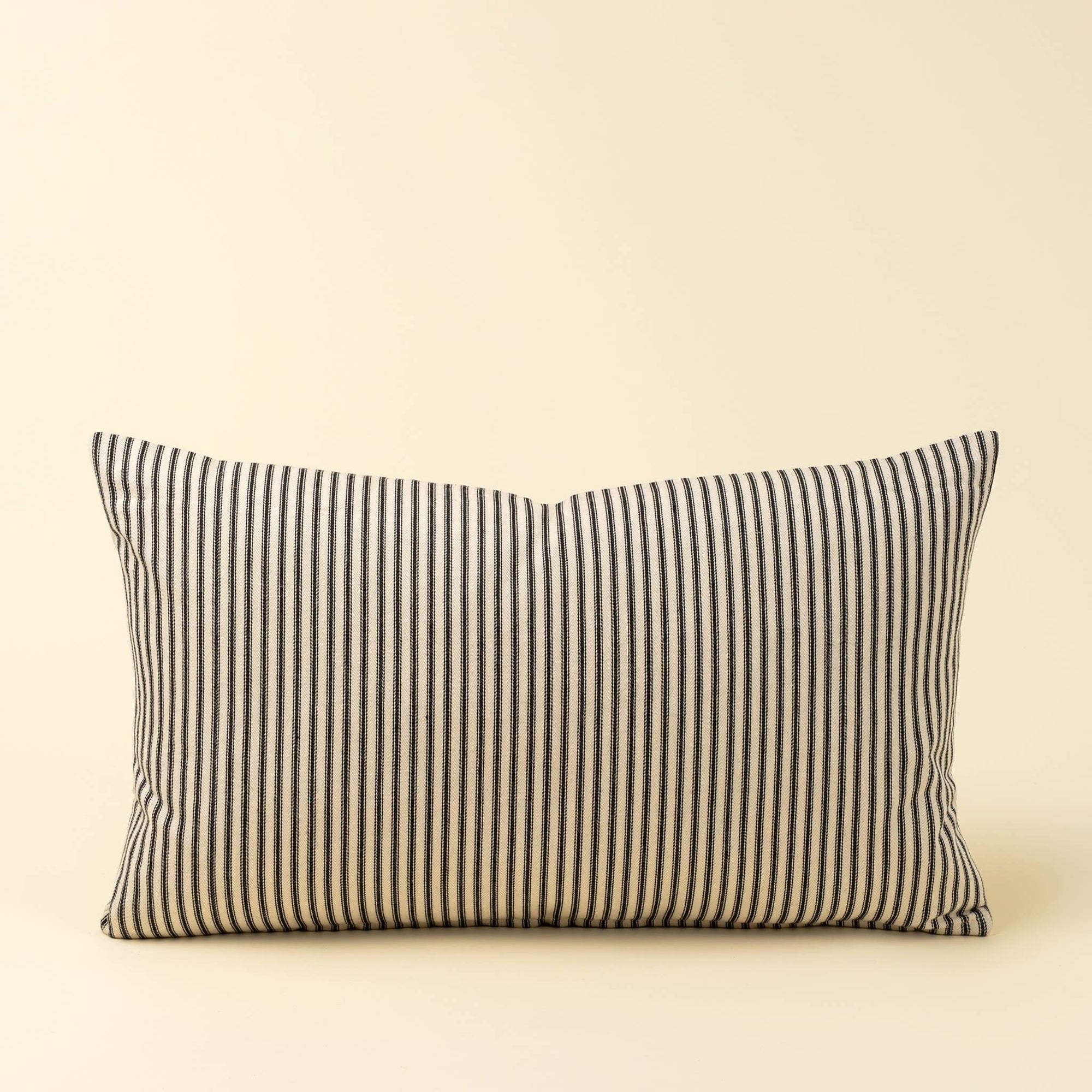 Black Ticking Pillow - Box Turtle