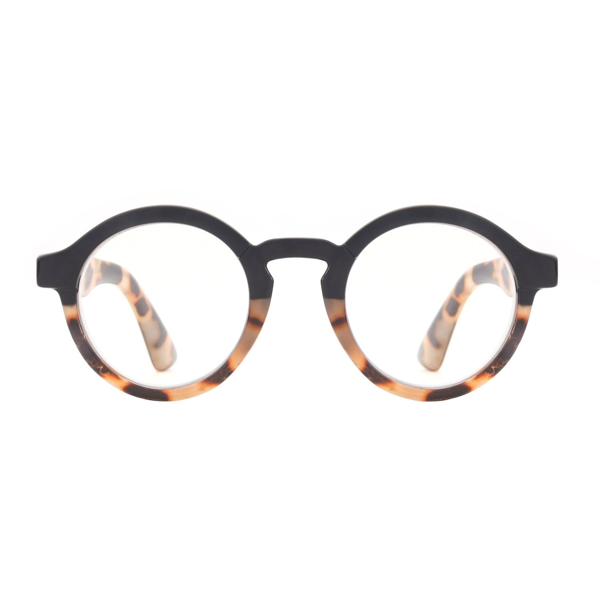 Black Tortoise DAN Blue Light Glasses - Box Turtle