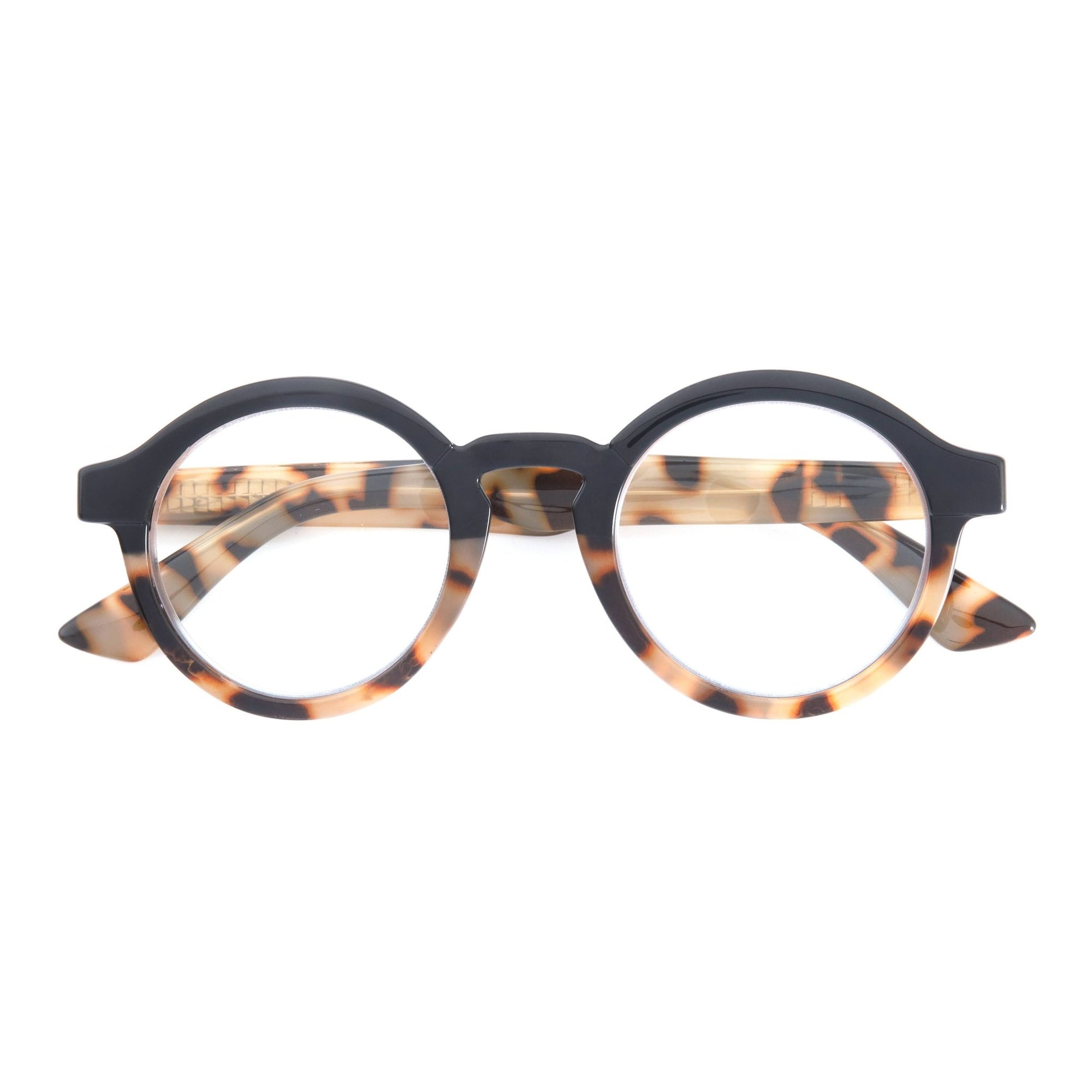 Black Tortoise DAN Blue Light Glasses - Box Turtle