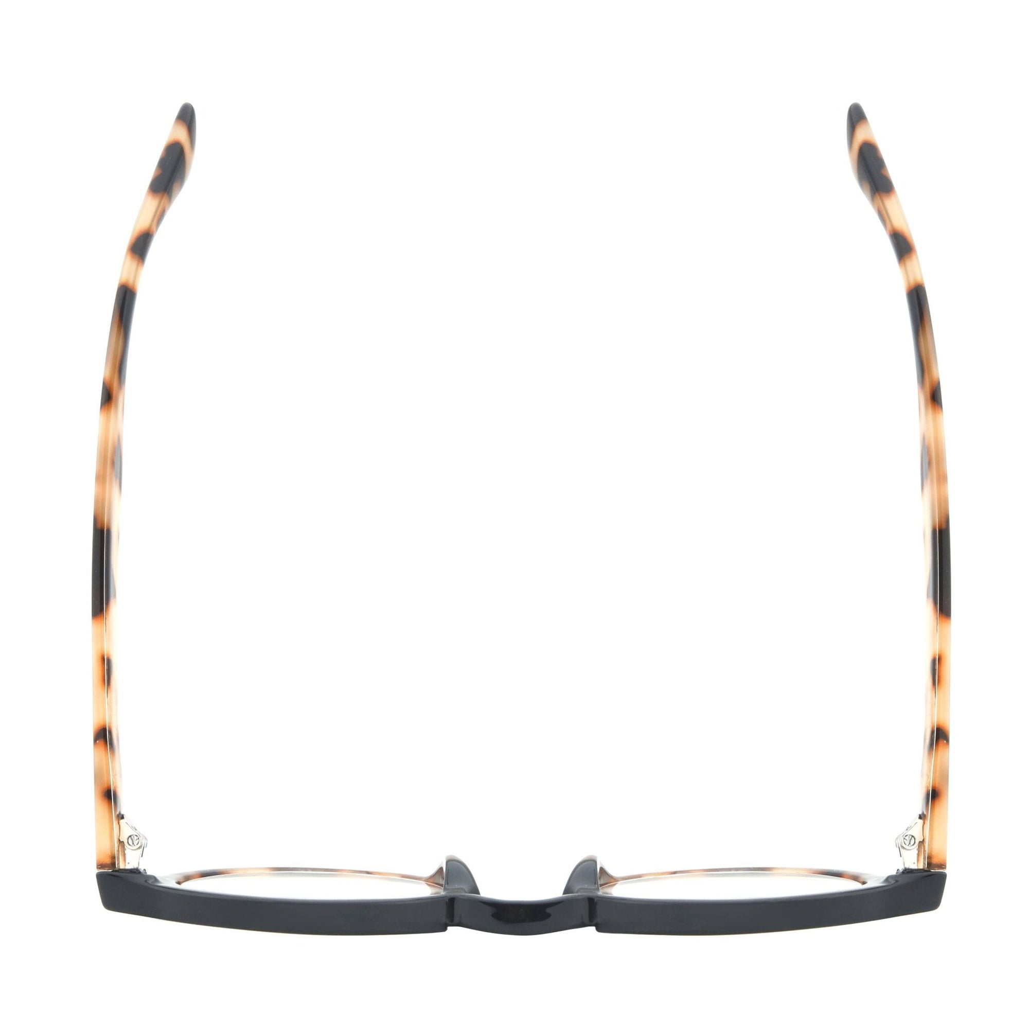 Black Tortoise DAN Blue Light Glasses - Box Turtle