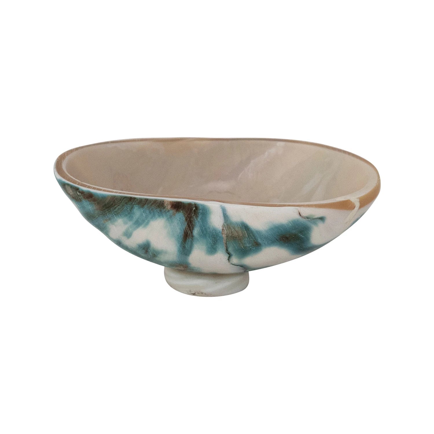 Blue Natural Shell Footed Dish - Box Turtle