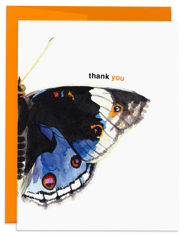 Blue Pansy Butterfly Thank You Card - Box Turtle
