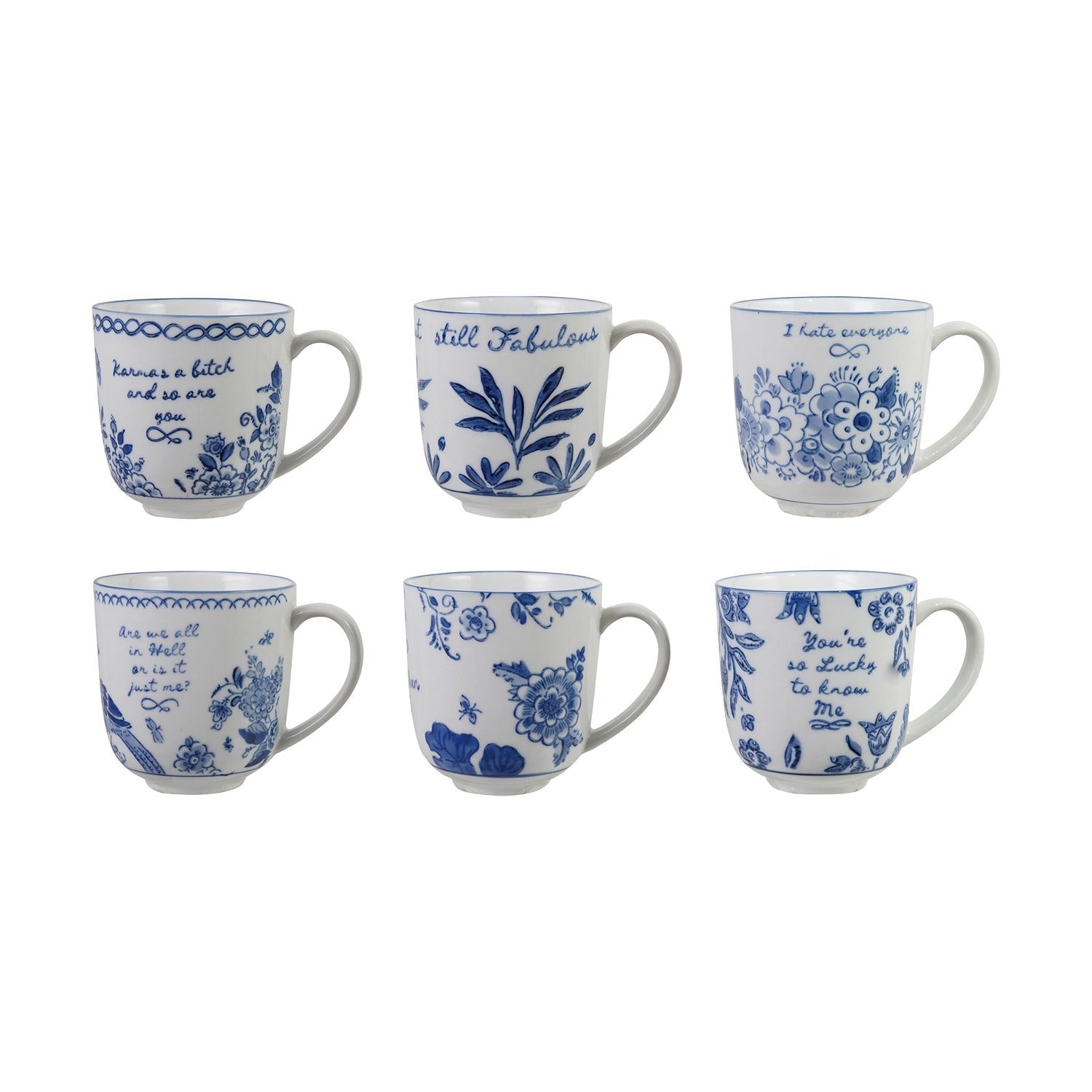 Blue &amp; White Mug with Saying - Box Turtle