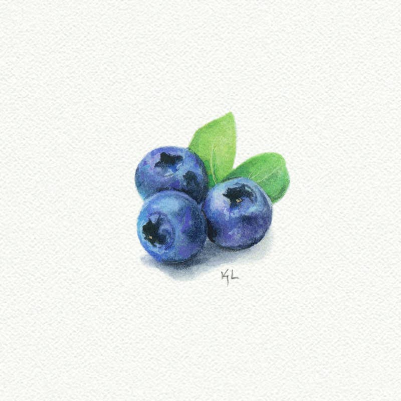 Blueberries Miniature Watercolor Print - Box Turtle