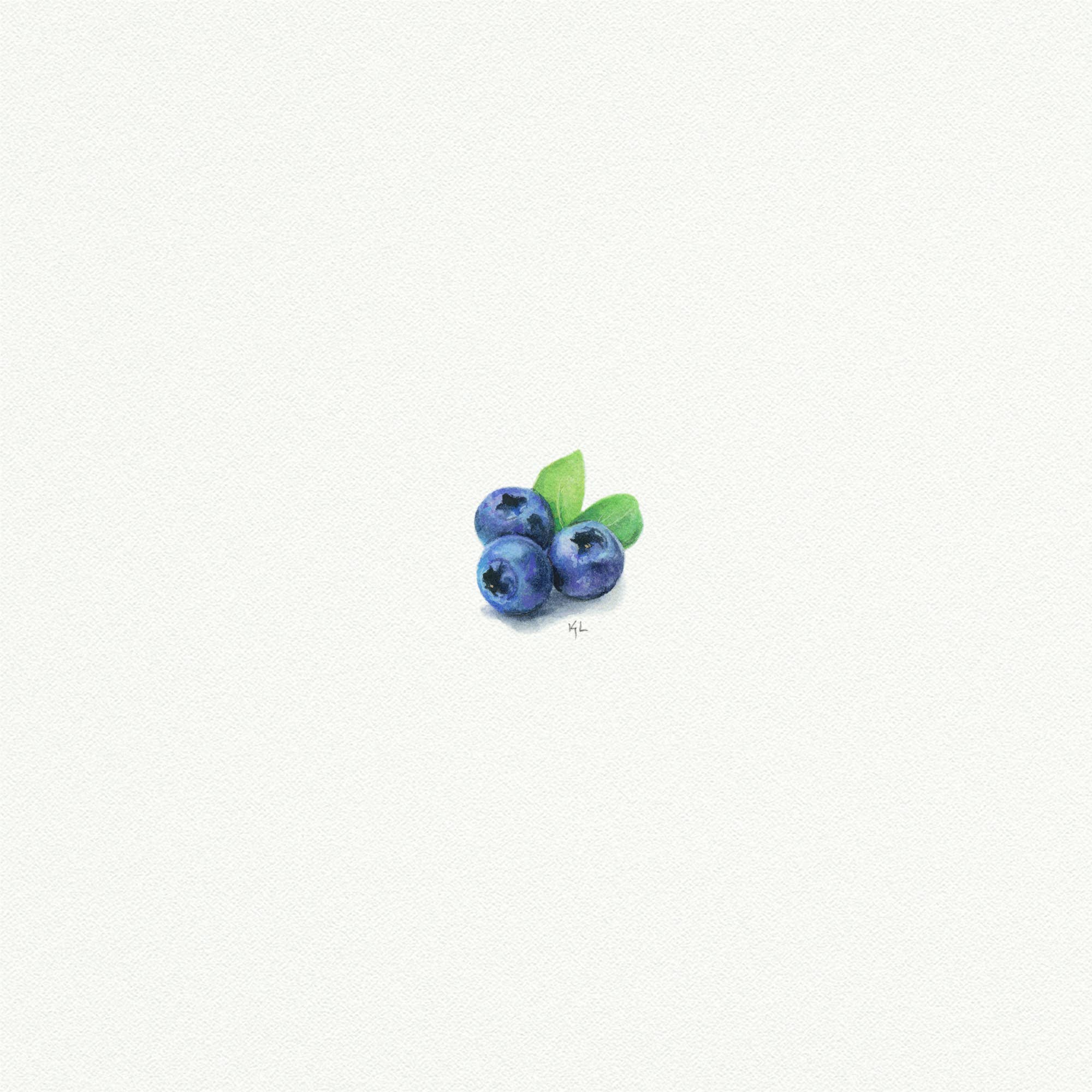 Blueberries Miniature Watercolor Print - Box Turtle