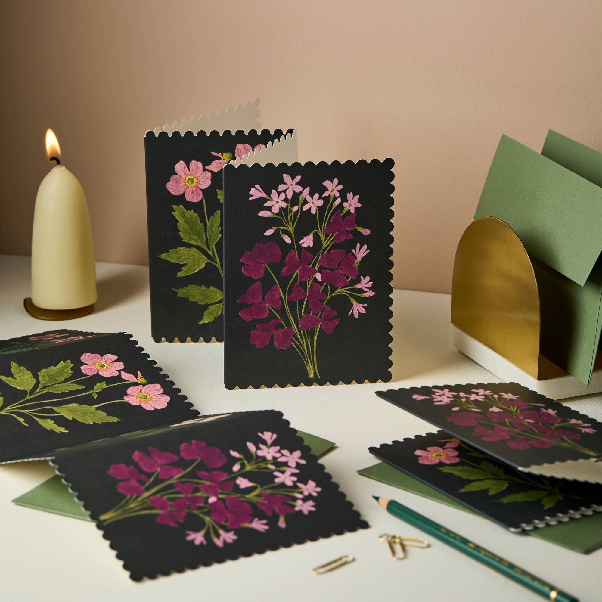 Botanical Concertina Card - Box Turtle