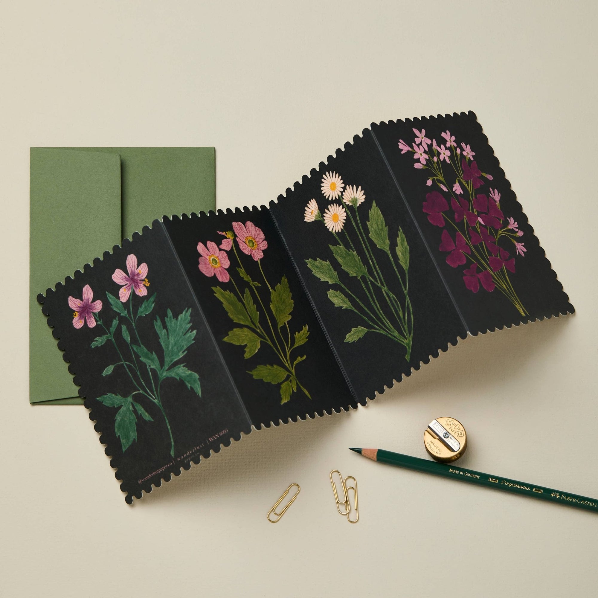 Botanical Concertina Card - Box Turtle