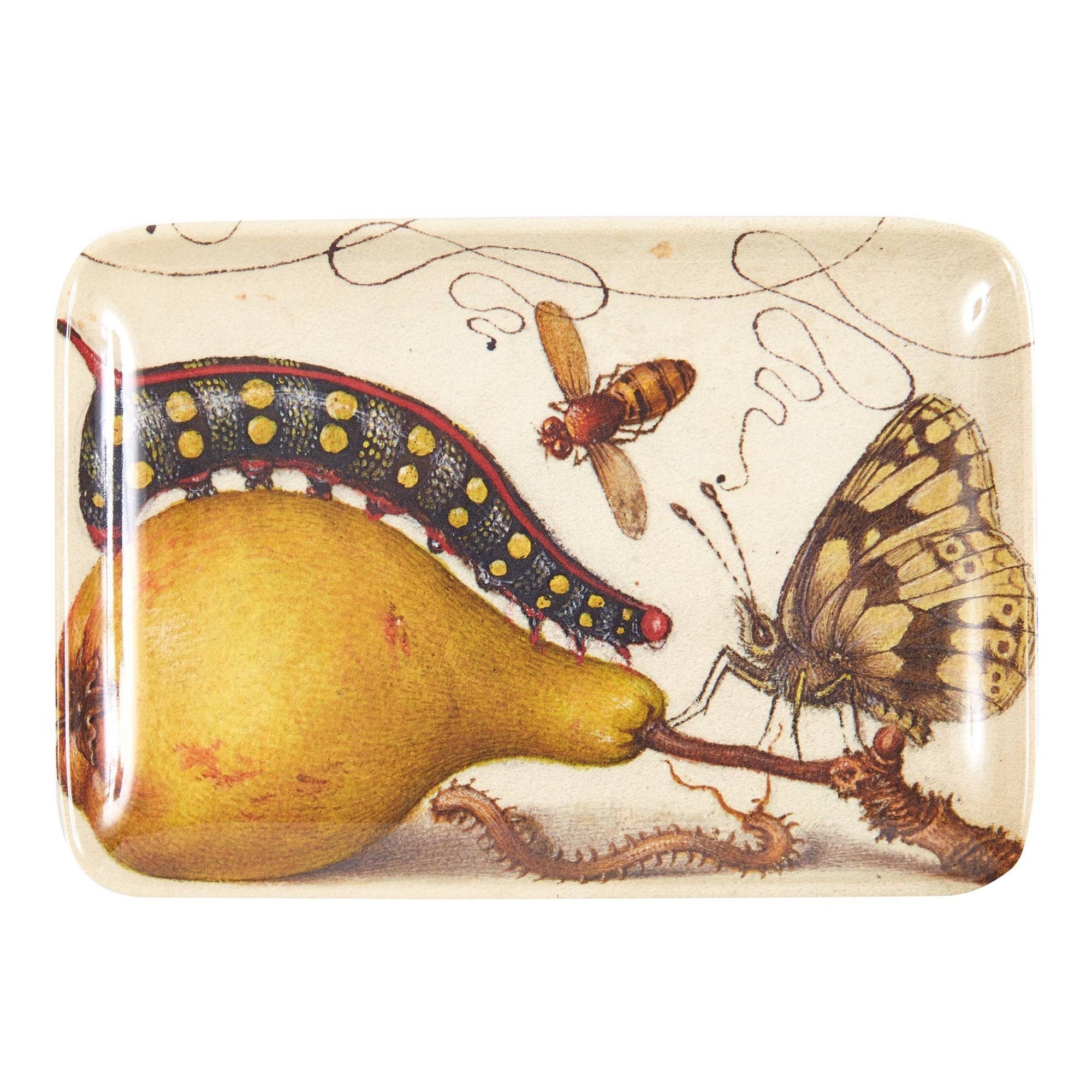 Botaniste Valet Trays - Box Turtle