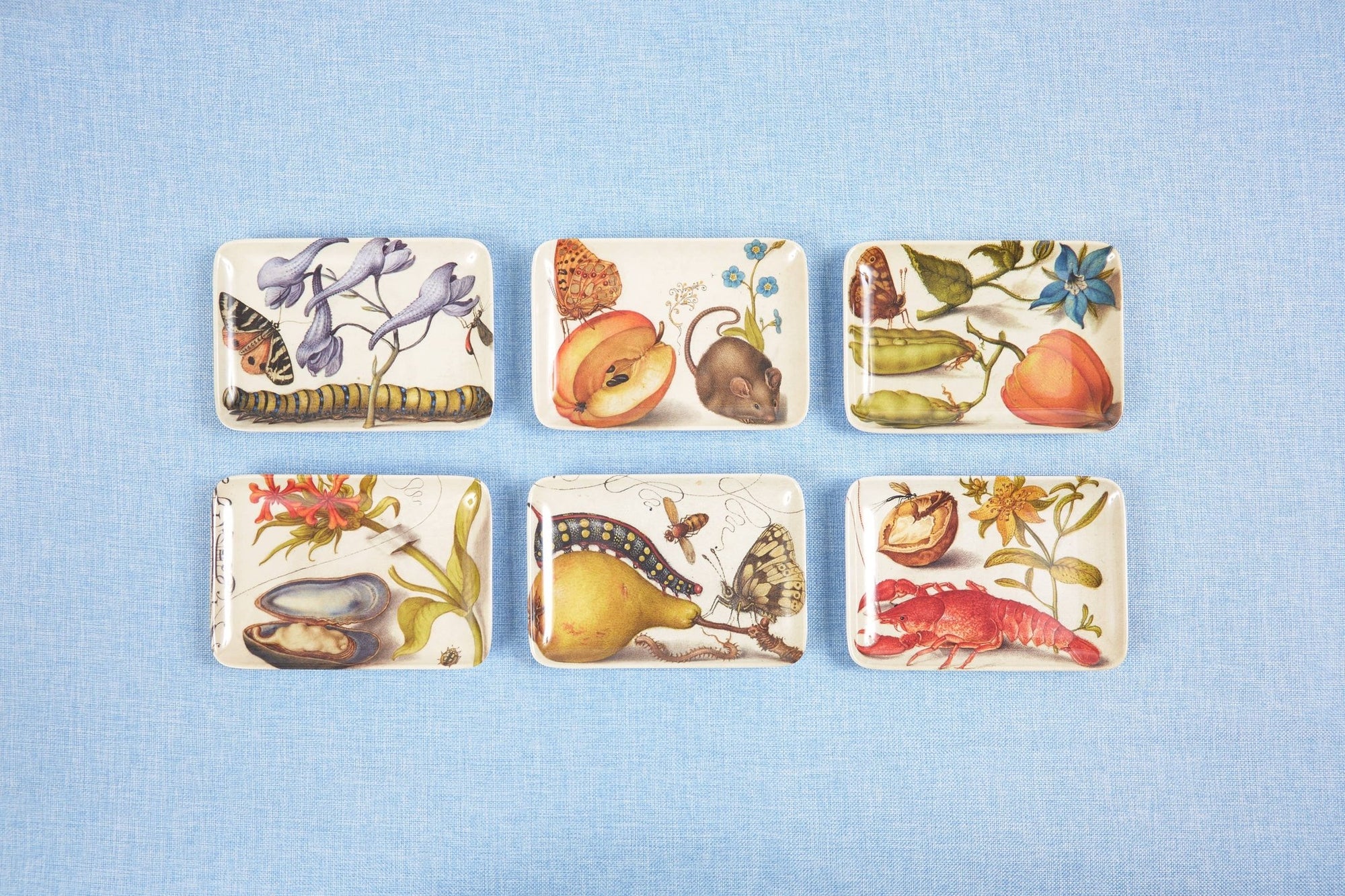 Botaniste Valet Trays - Box Turtle