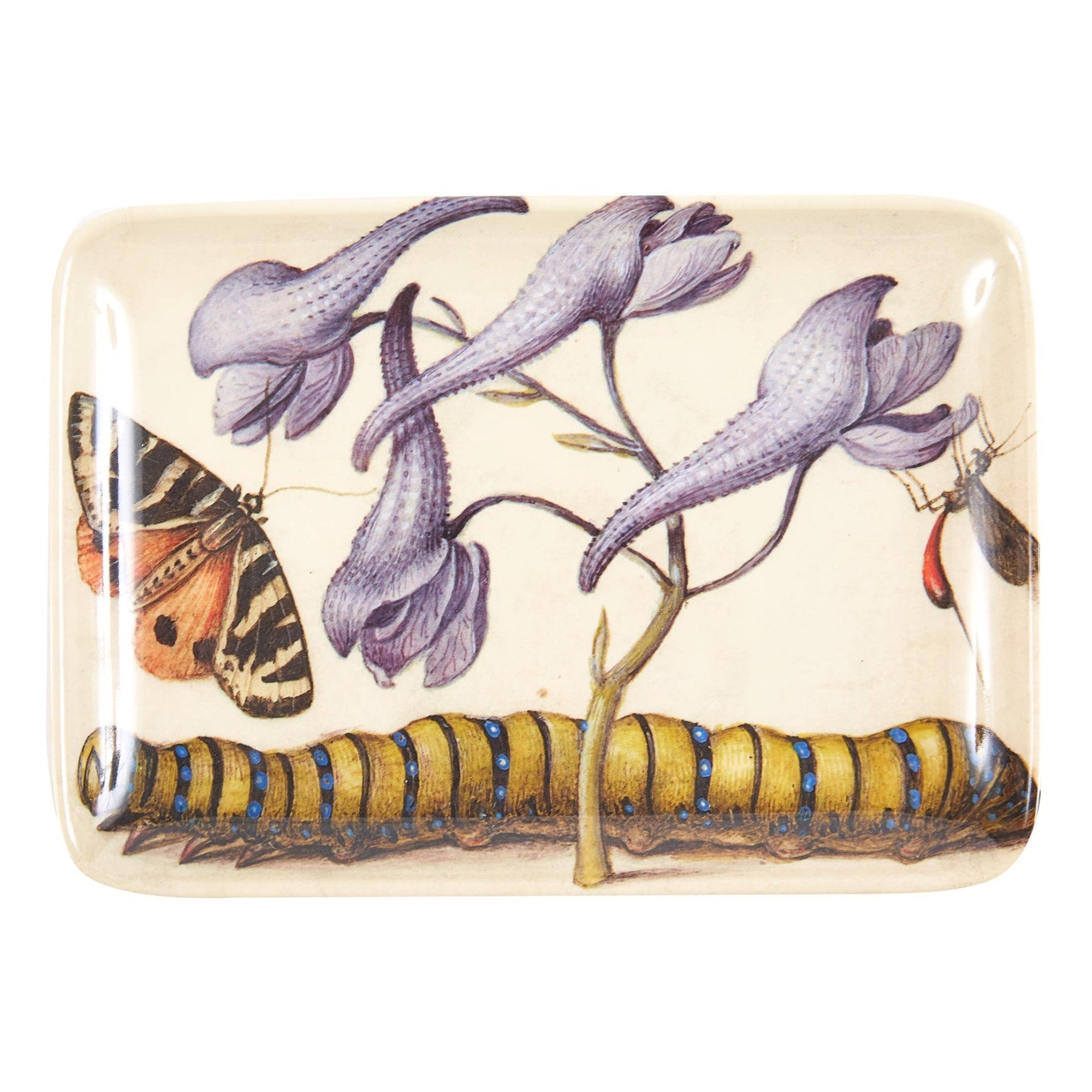 Botaniste Valet Trays - Box Turtle