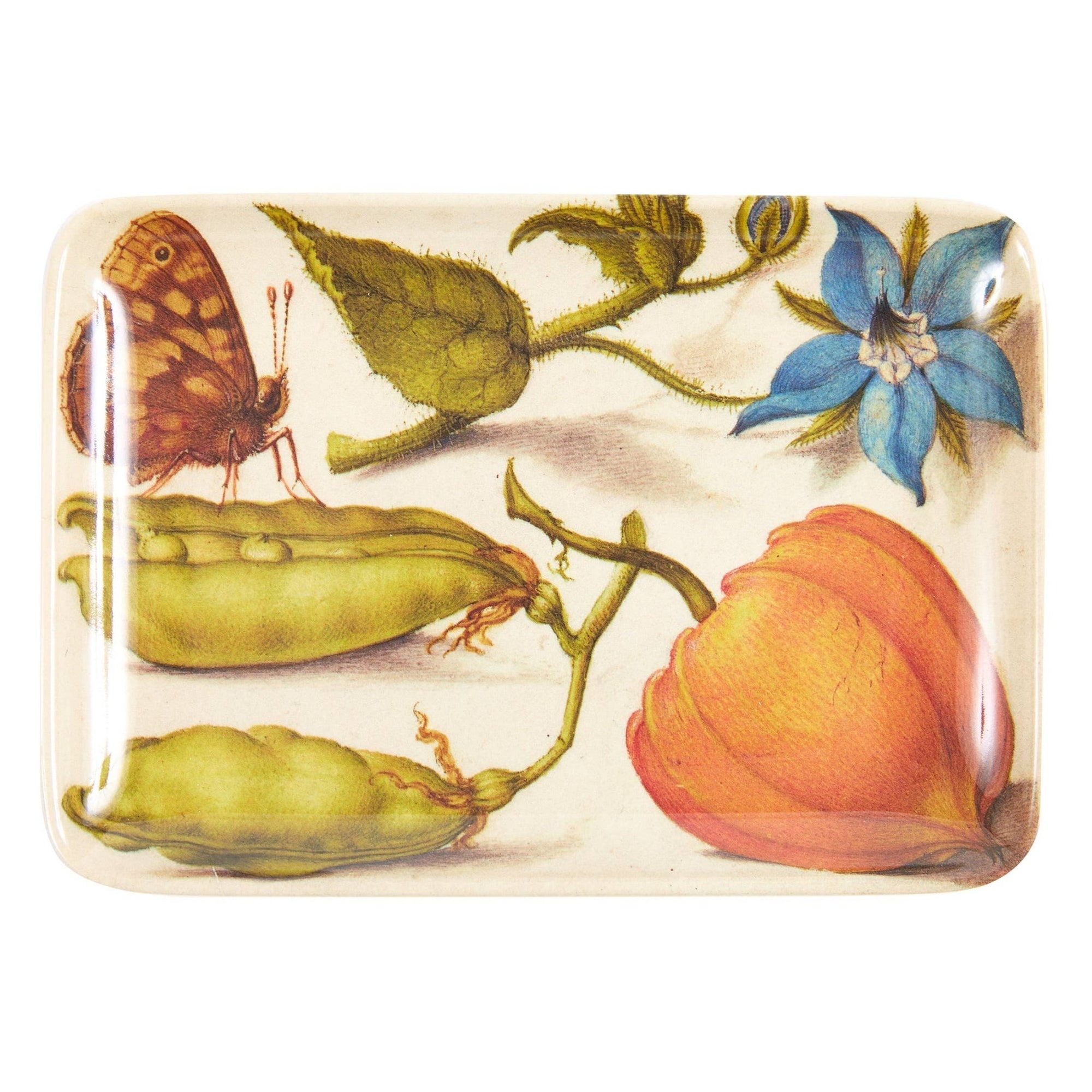 Botaniste Valet Trays - Box Turtle