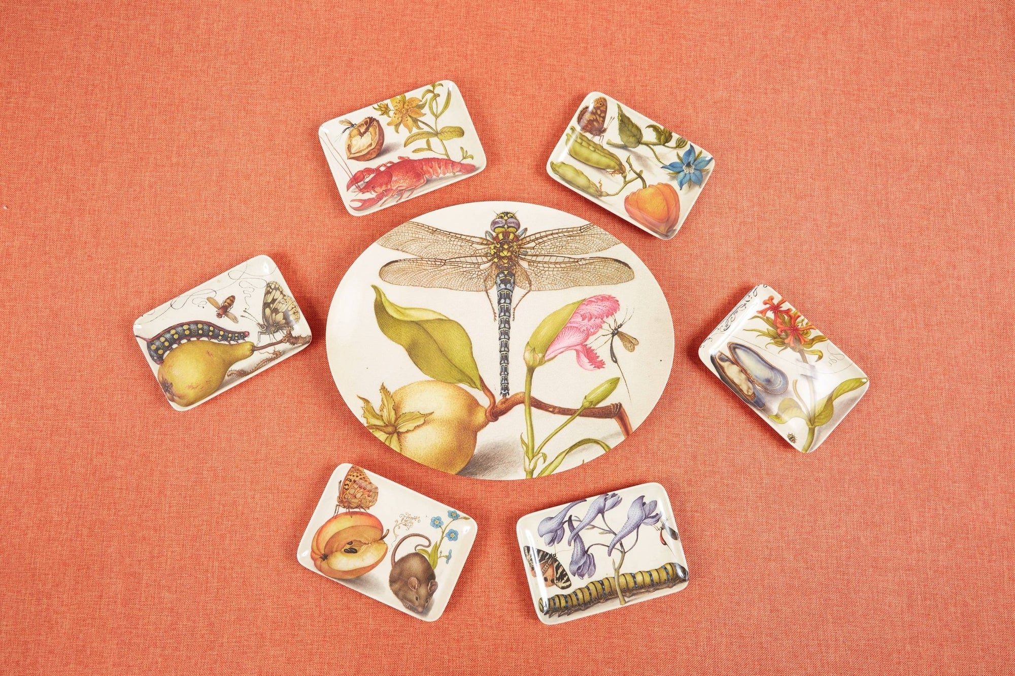 Botaniste Valet Trays - Box Turtle