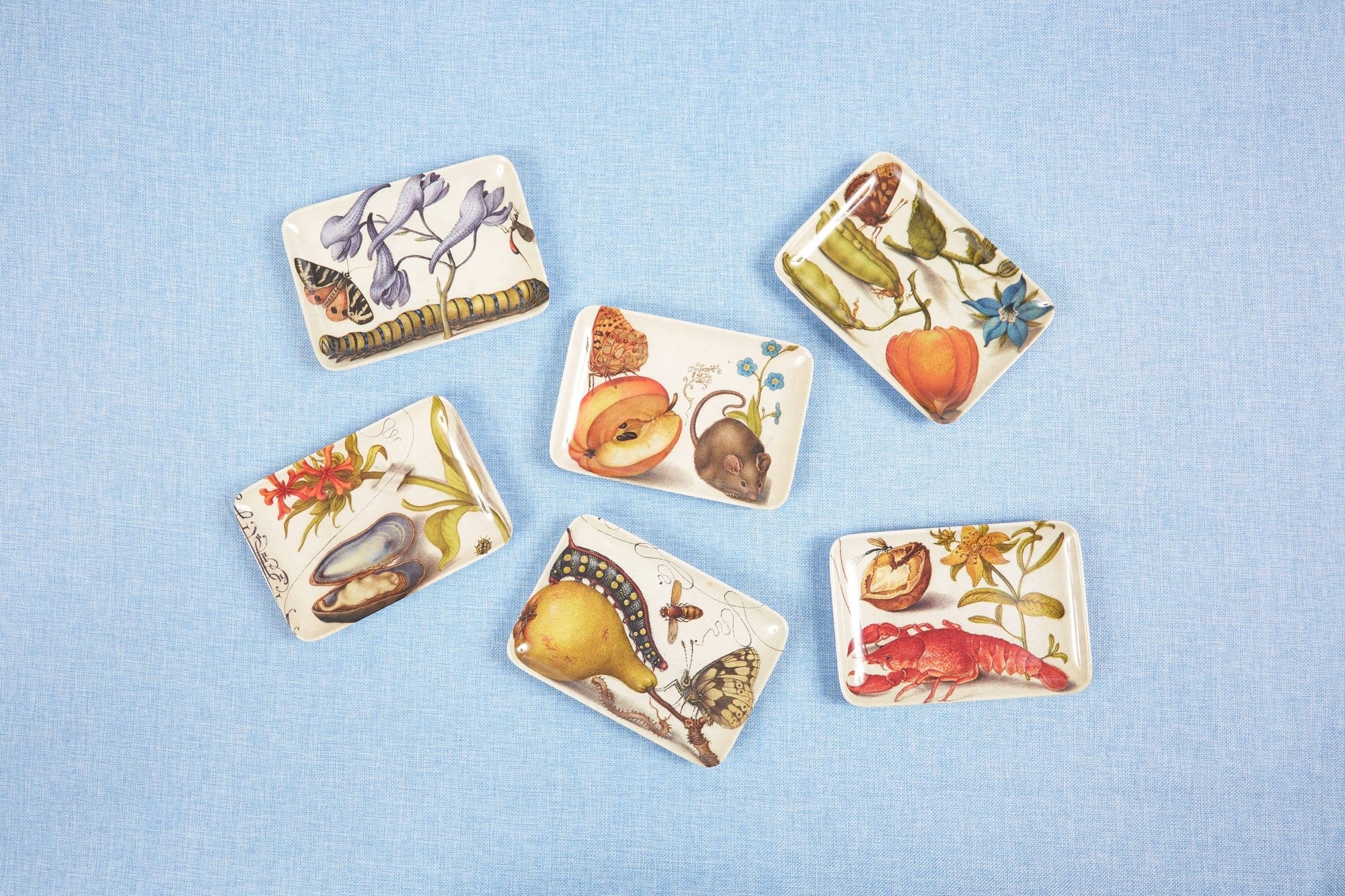 Botaniste Valet Trays - Box Turtle