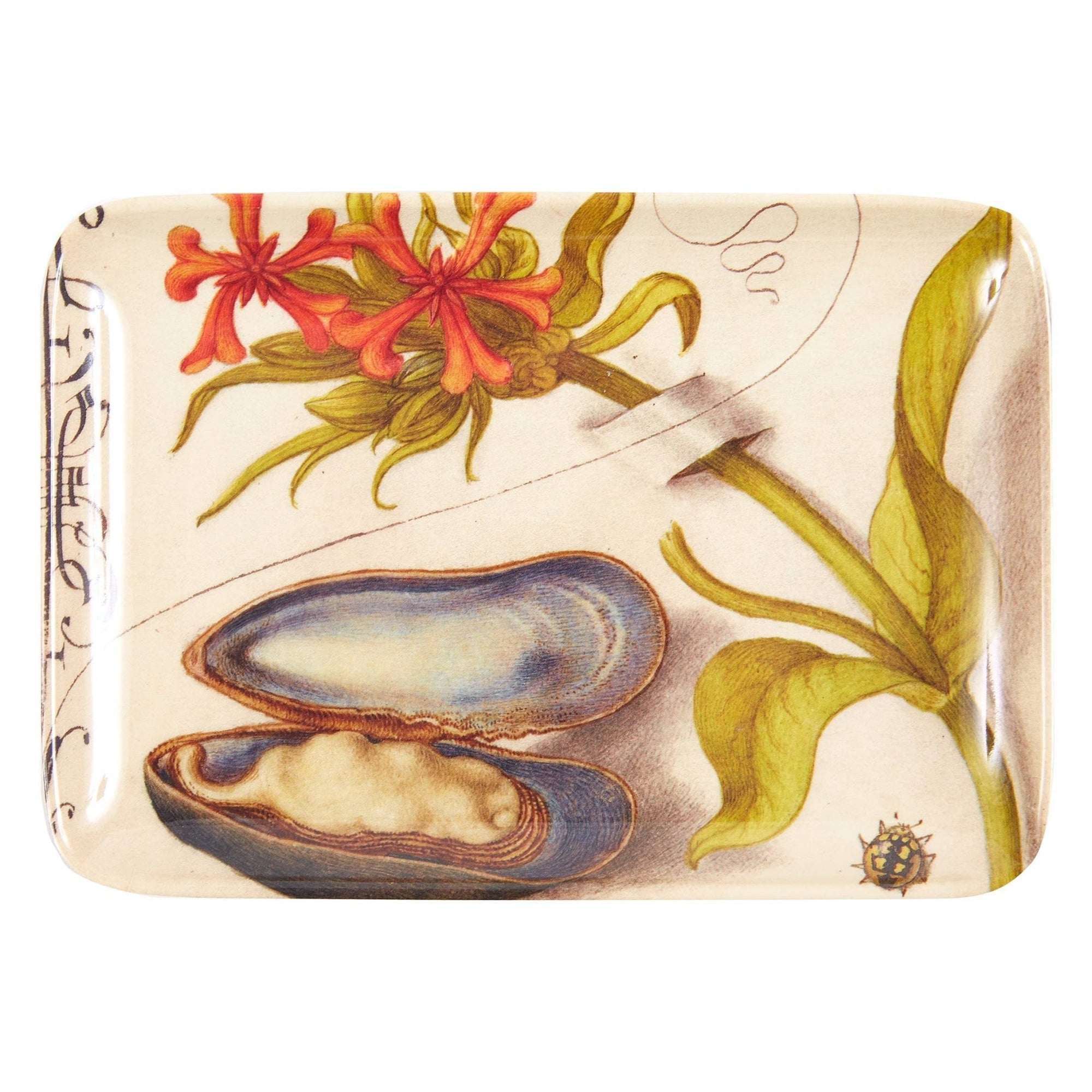 Botaniste Valet Trays - Box Turtle