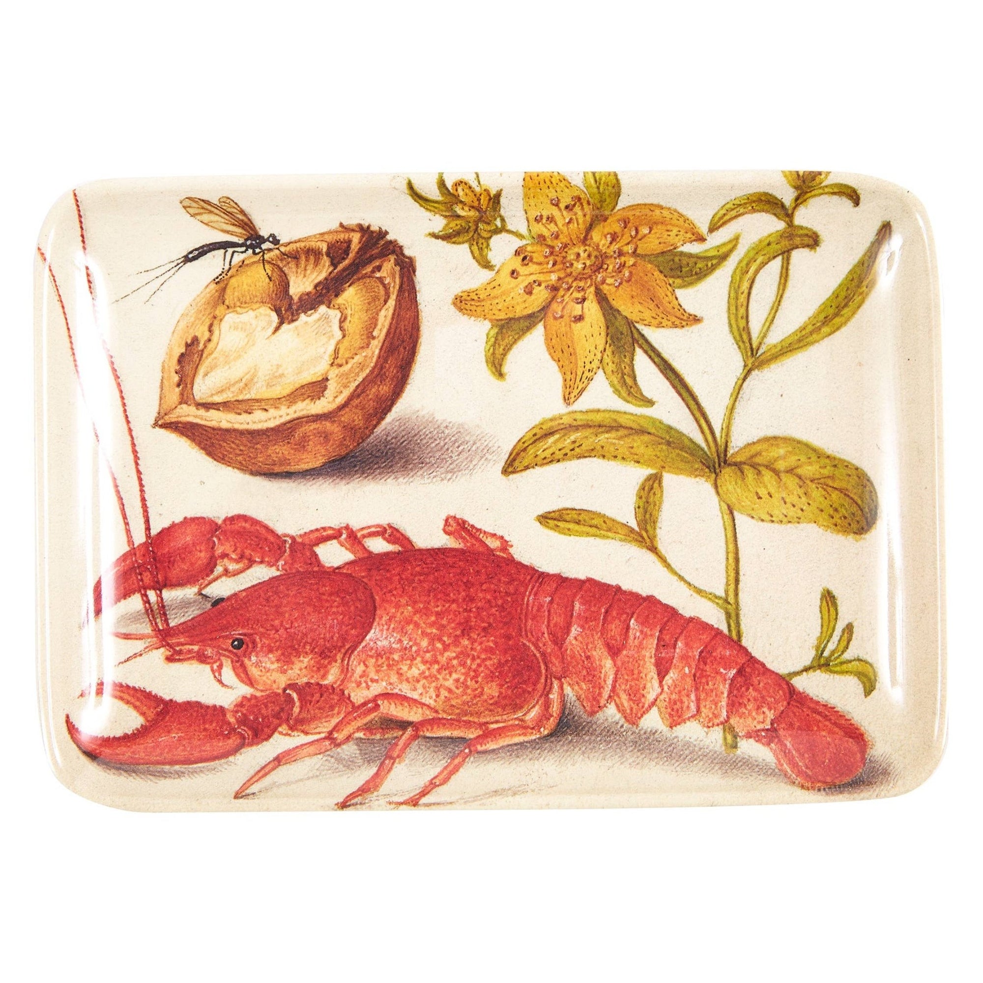 Botaniste Valet Trays - Box Turtle