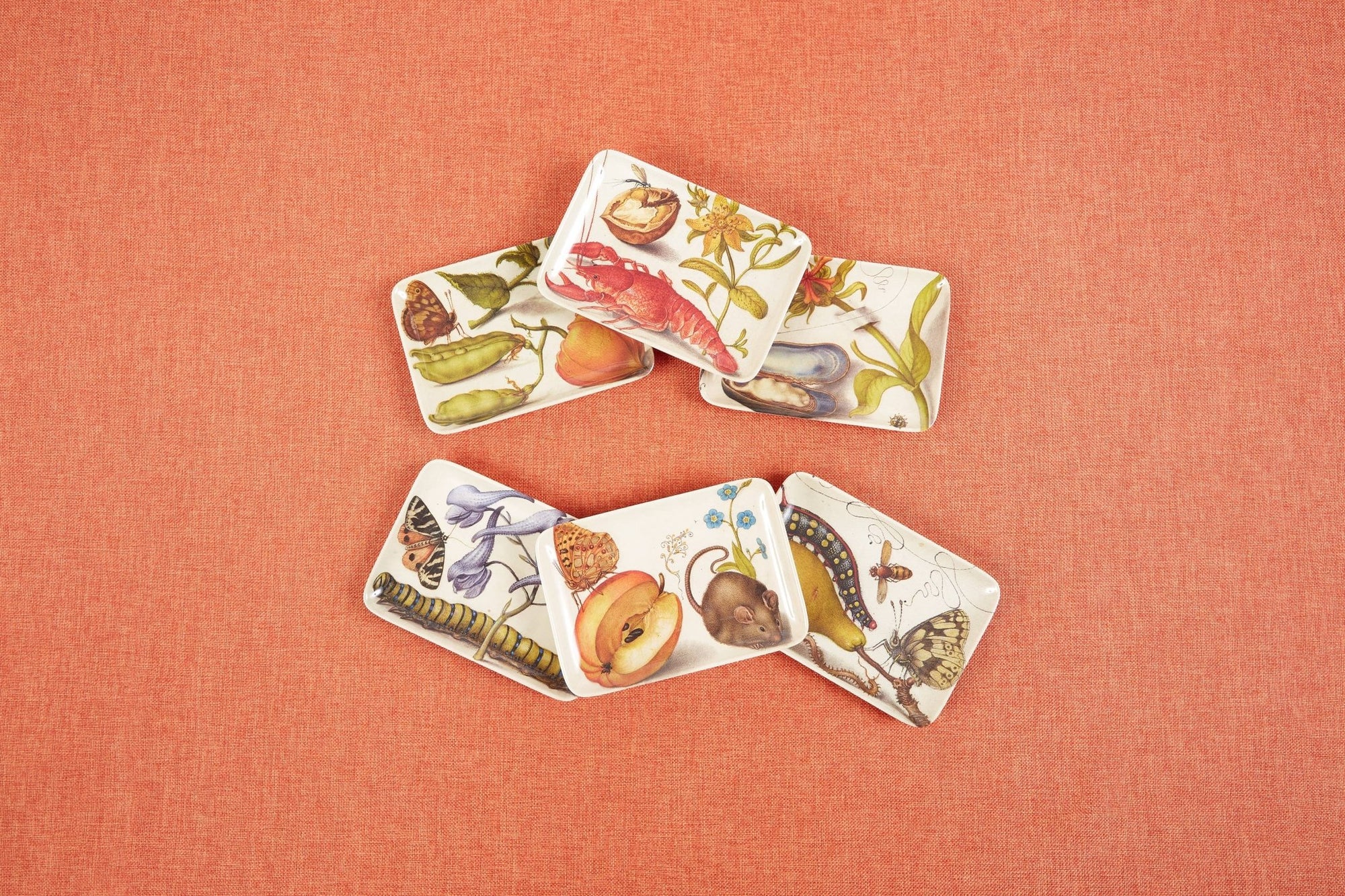 Botaniste Valet Trays - Box Turtle