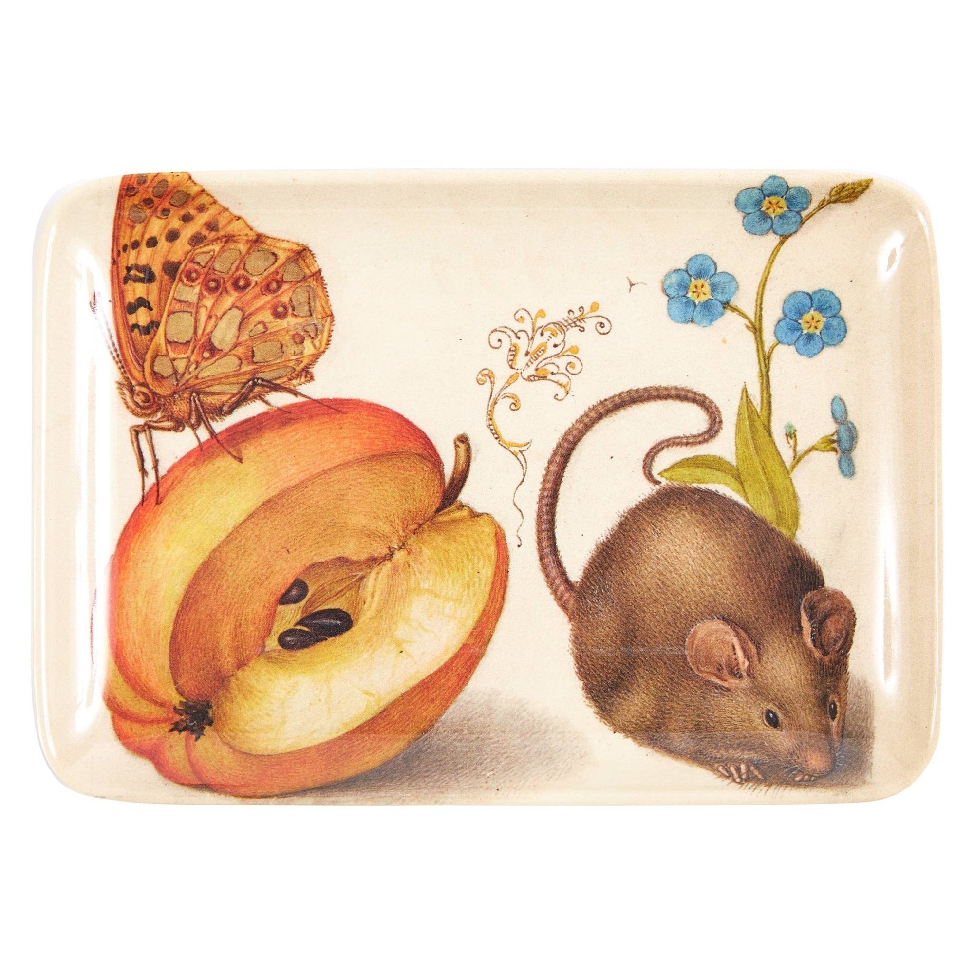 Botaniste Valet Trays - Box Turtle