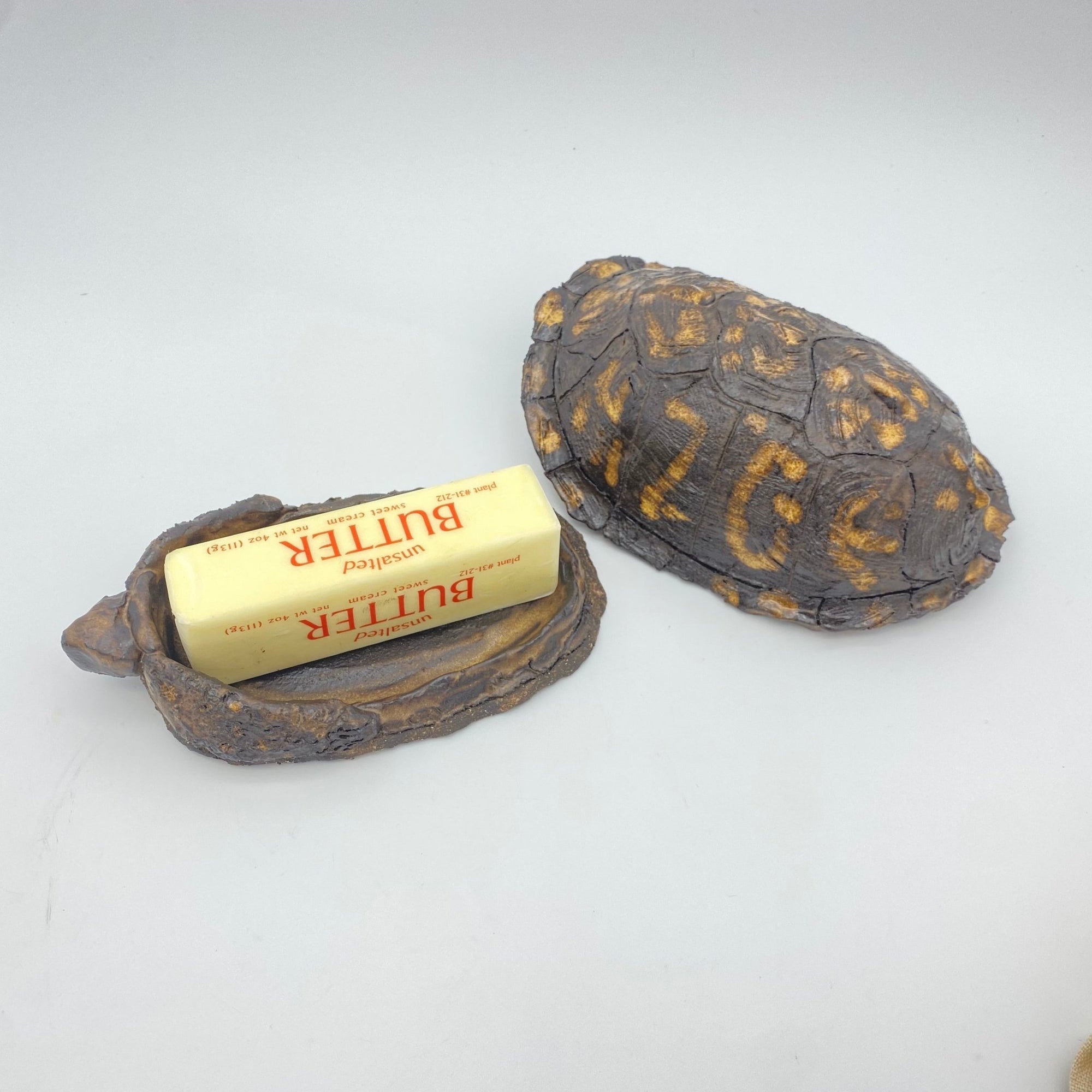 Box Turtle Butter Dish - Box Turtle