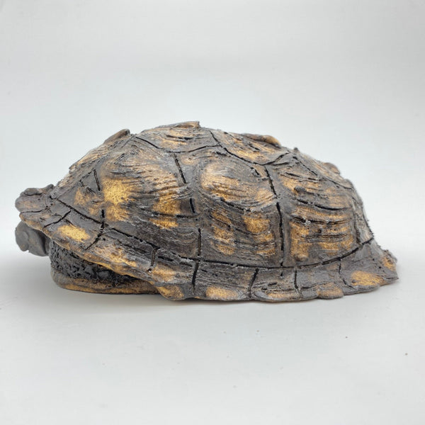 Box Turtle Butter Dish - Box Turtle