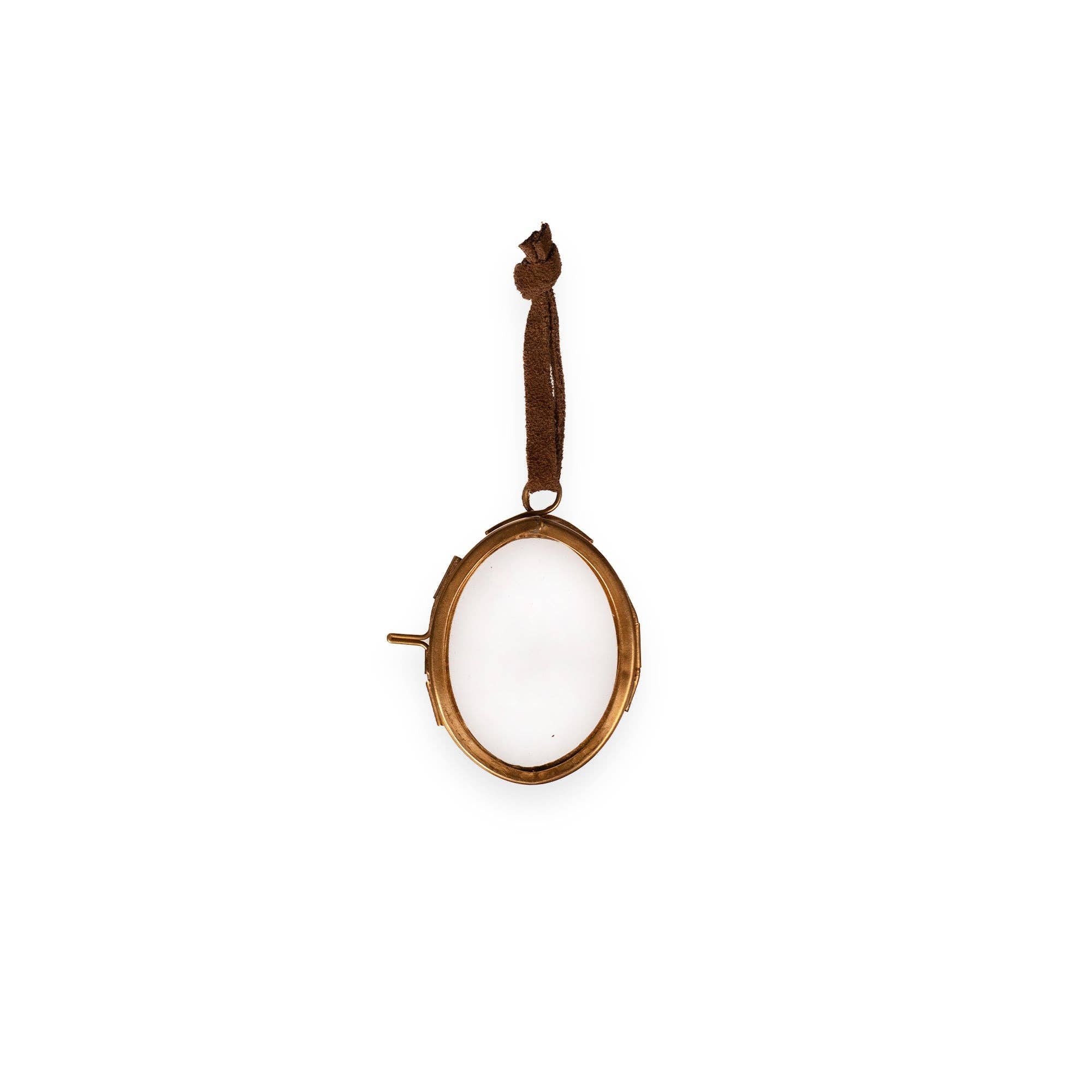 Brass Frame Oval - Box Turtle