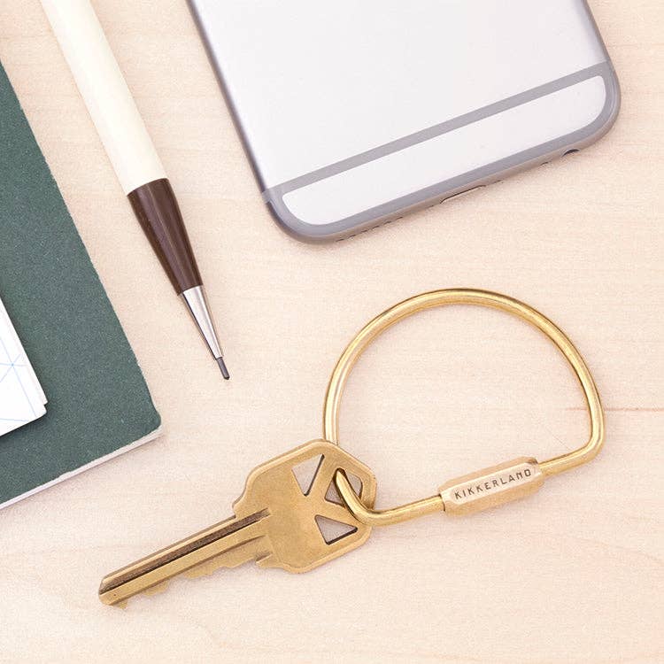 Brass Keyrings - Box Turtle
